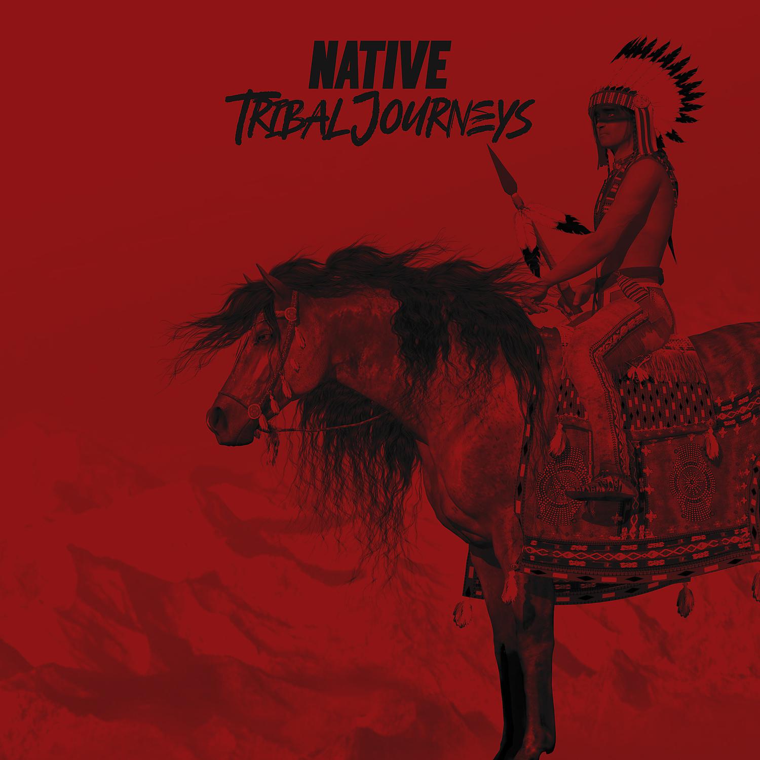 Постер альбома Native Tribal Journeys: Native American Music, Ethnic Shamanic Drums and Native Flute