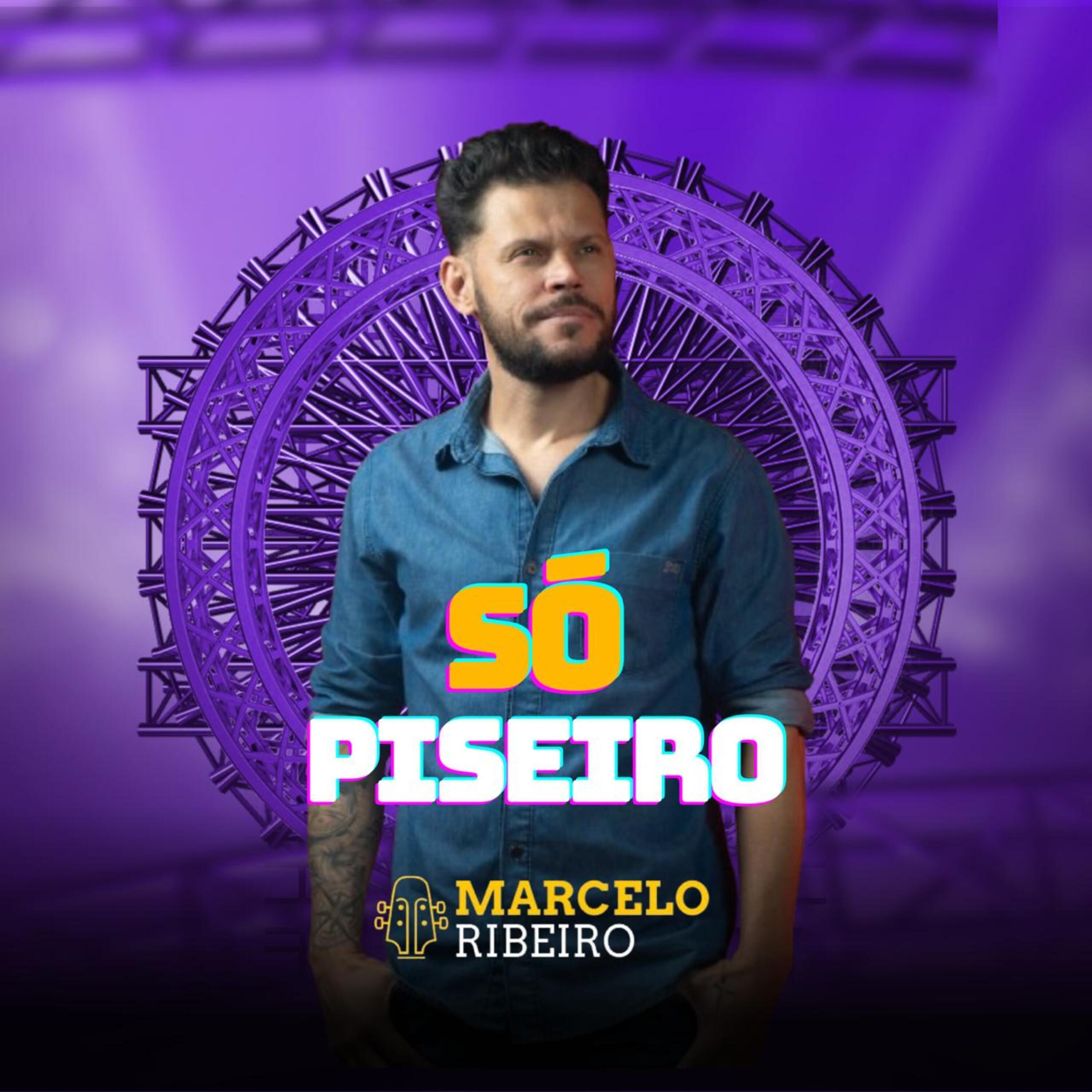 Постер альбома Só Piseiro