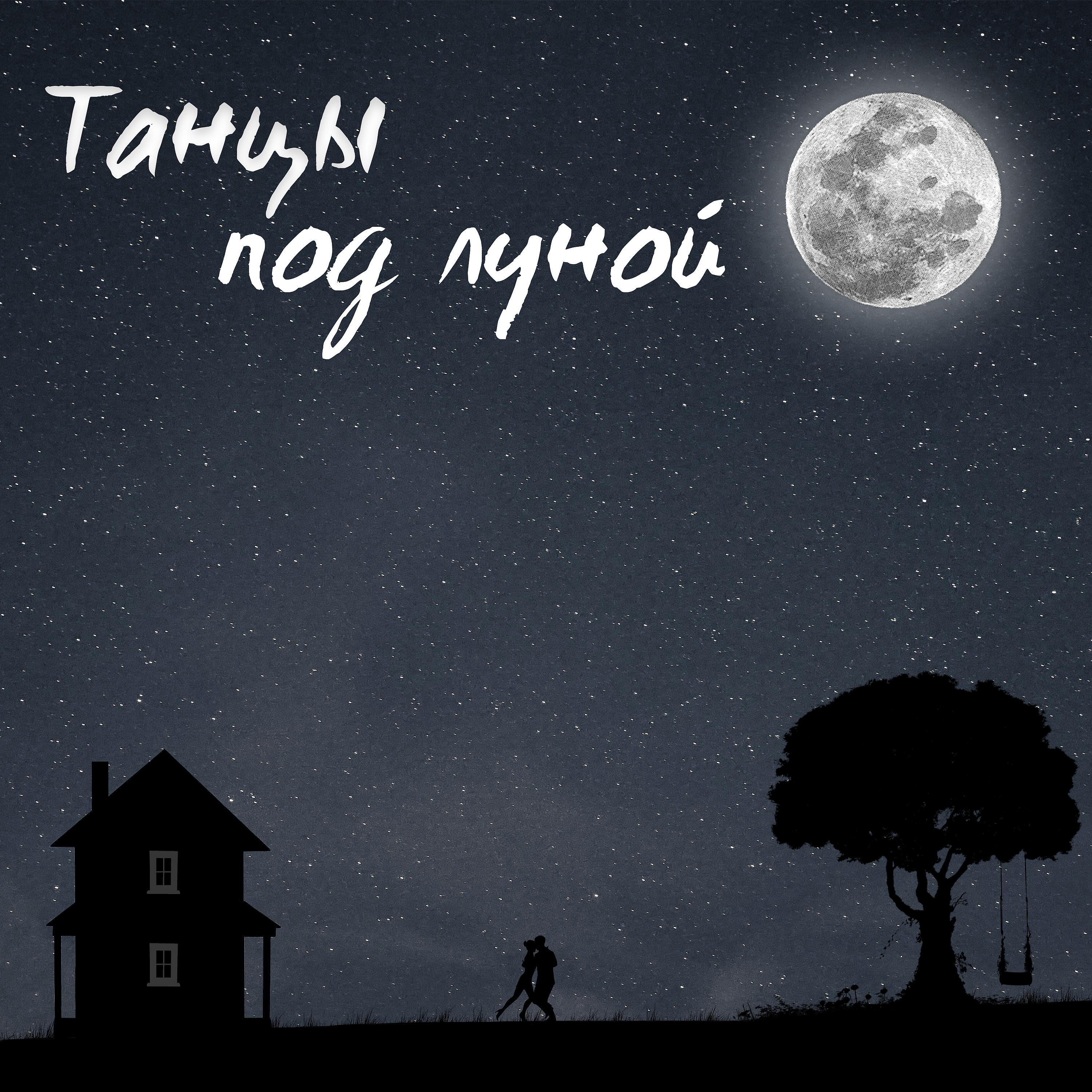 Постер альбома Танцы под луной