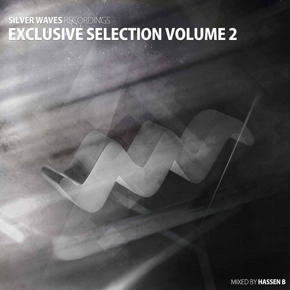 Постер альбома Silver Waves Exclusive Selection Vol. 2