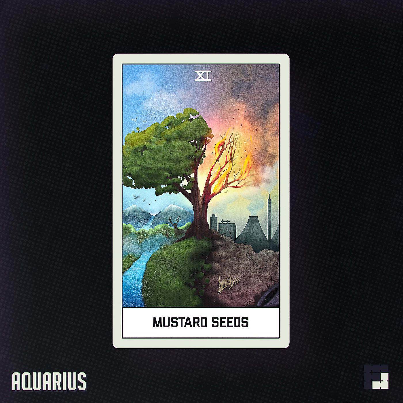 Постер альбома Aquarius // Mustard Seeds