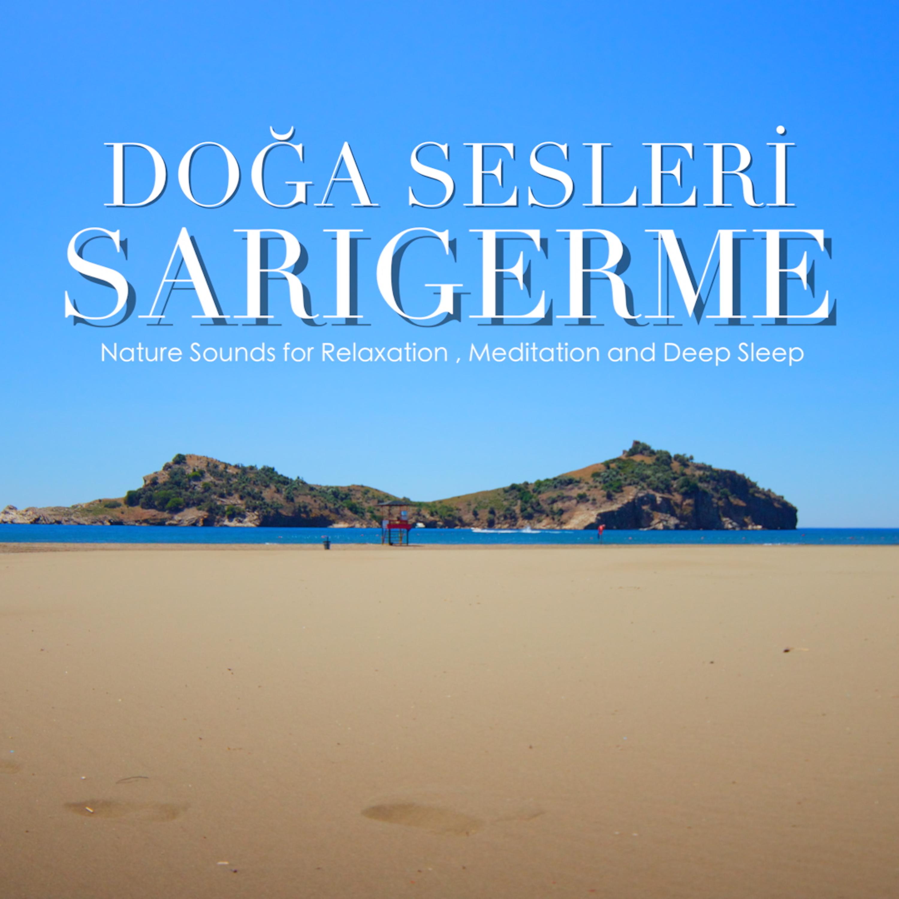 Постер альбома Sarıgerme - Nature Sounds for Relaxation, Meditation and Deep Sleep