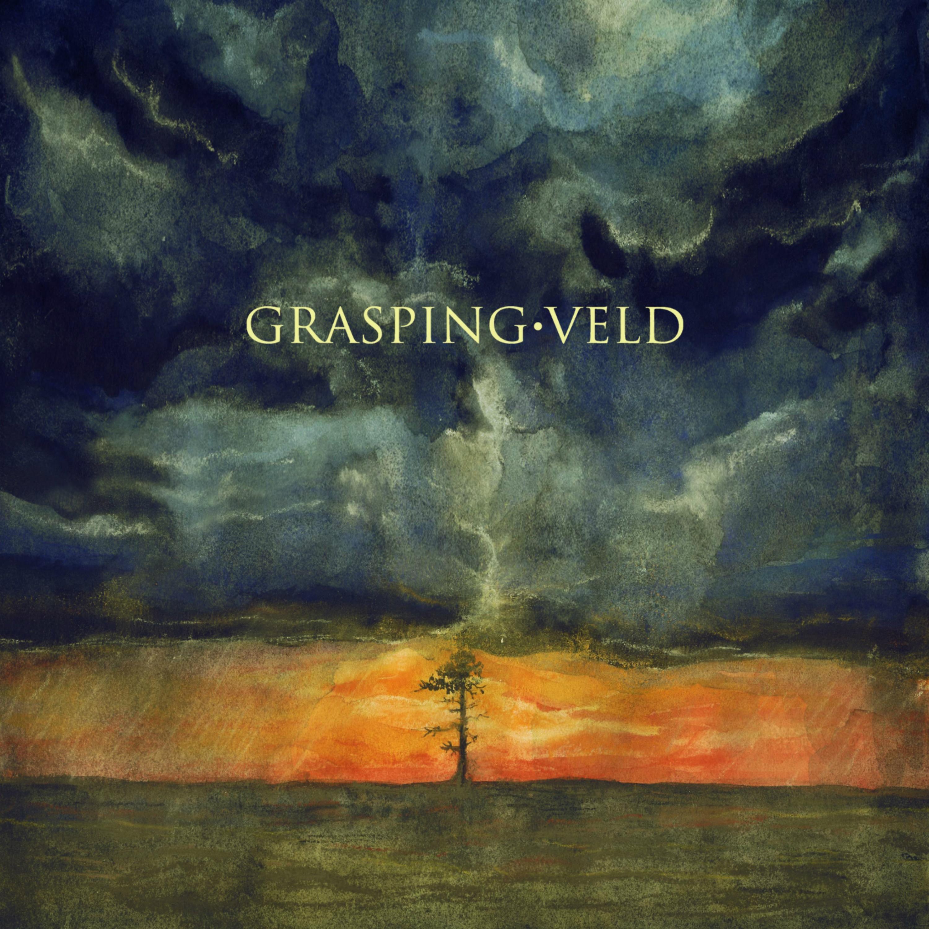 Постер альбома Grasping Veld