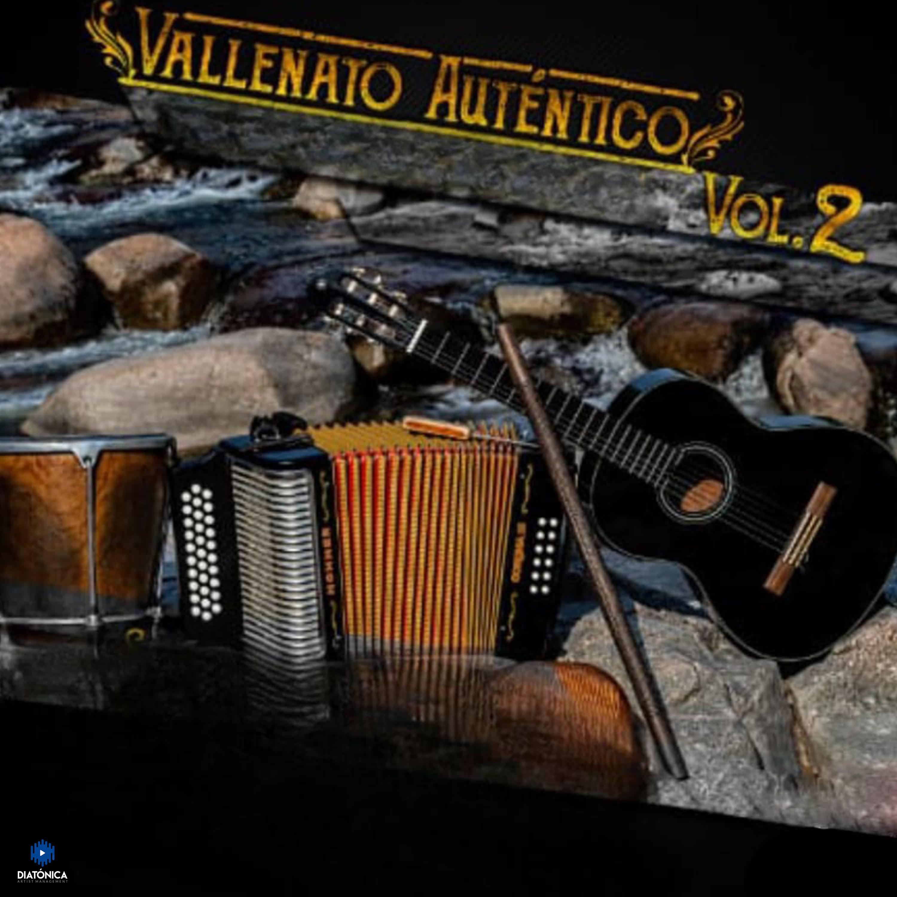 Постер альбома Vallenato Auténtico Vol.2