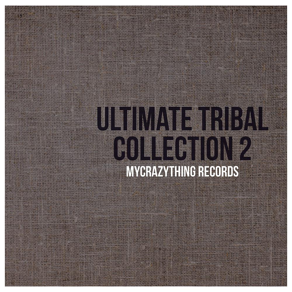 Постер альбома Ultimate Tribal Collection 2