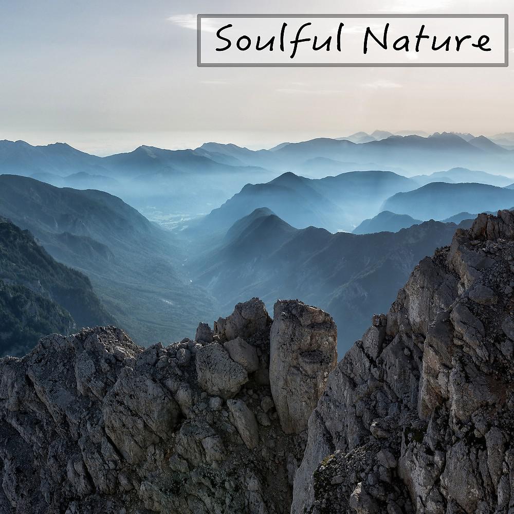 Постер альбома Soulful Nature