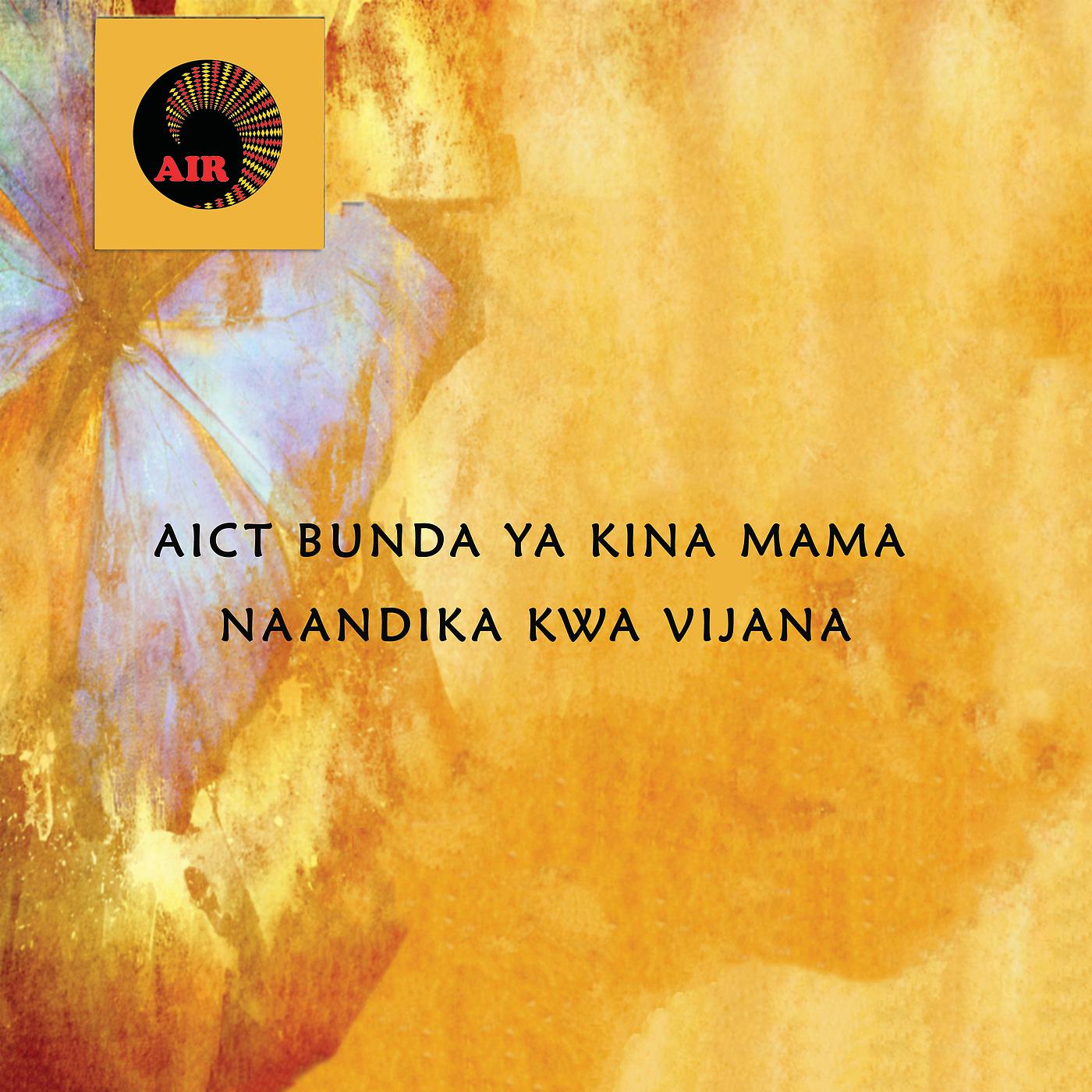 Постер альбома Naandika Kwa Vijana