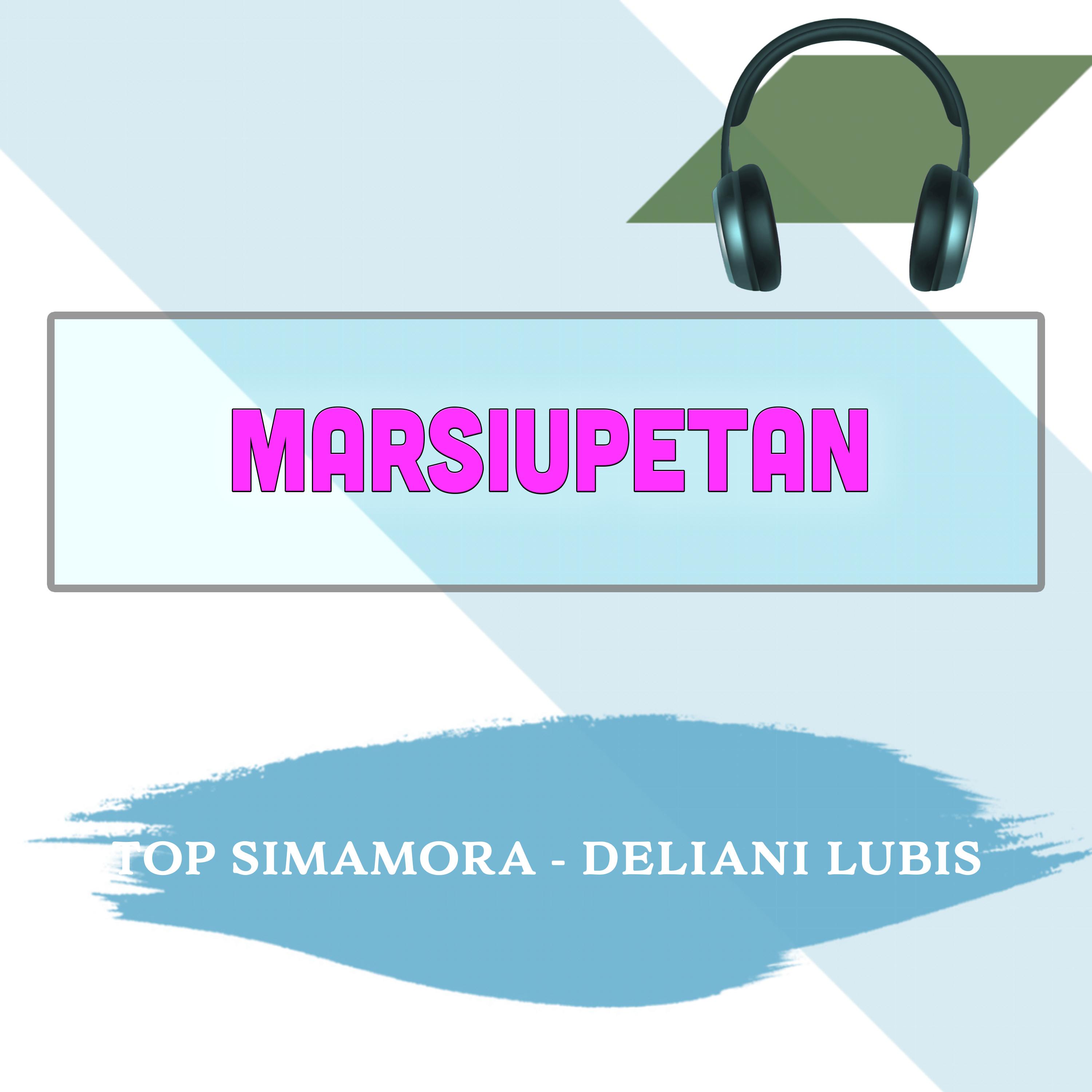 Постер альбома Marsiupetan