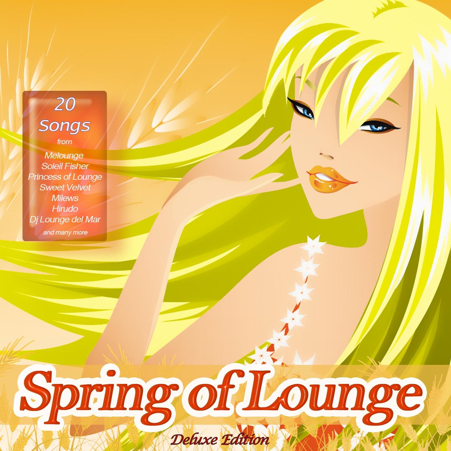 Постер альбома Spring of Lounge