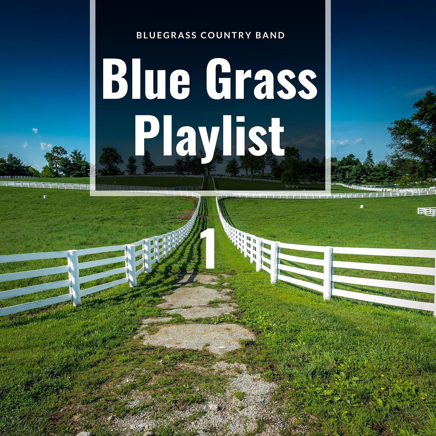 Постер альбома Blue Grass Playlist 1