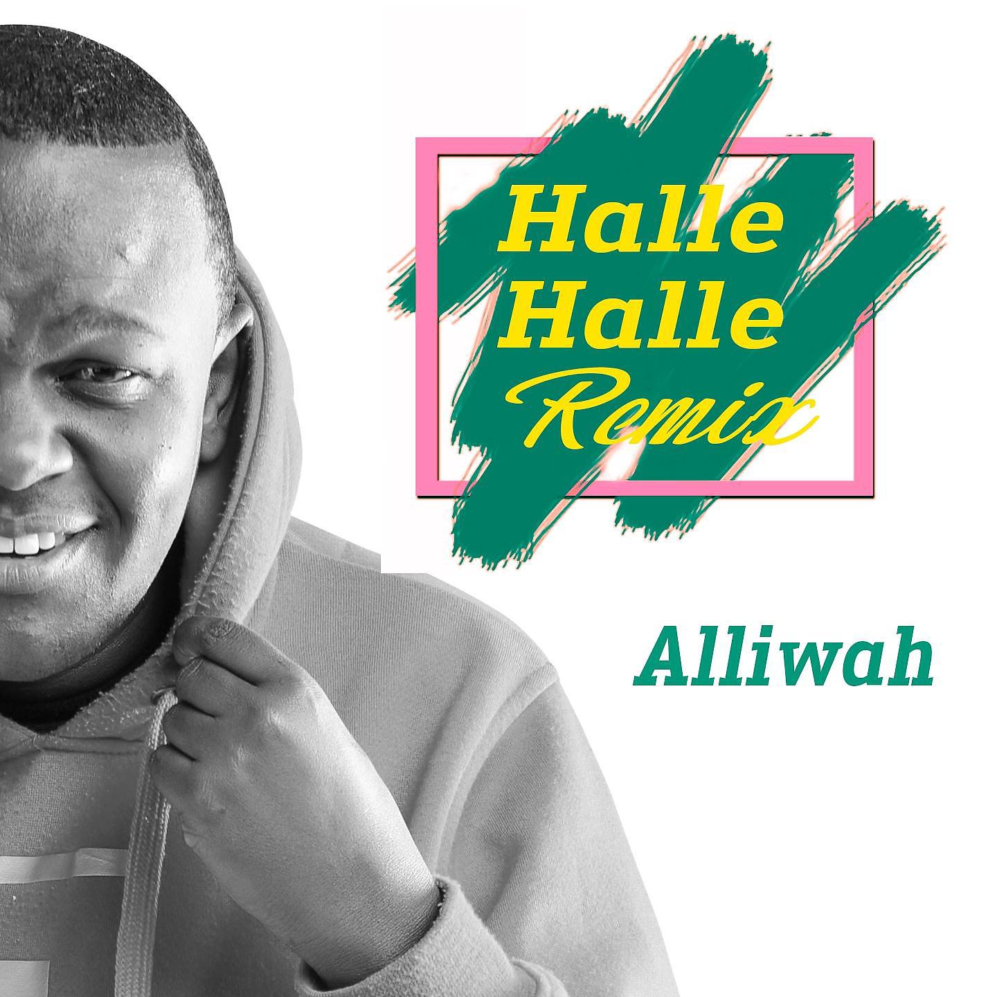 Постер альбома Halle Halle (Remix)