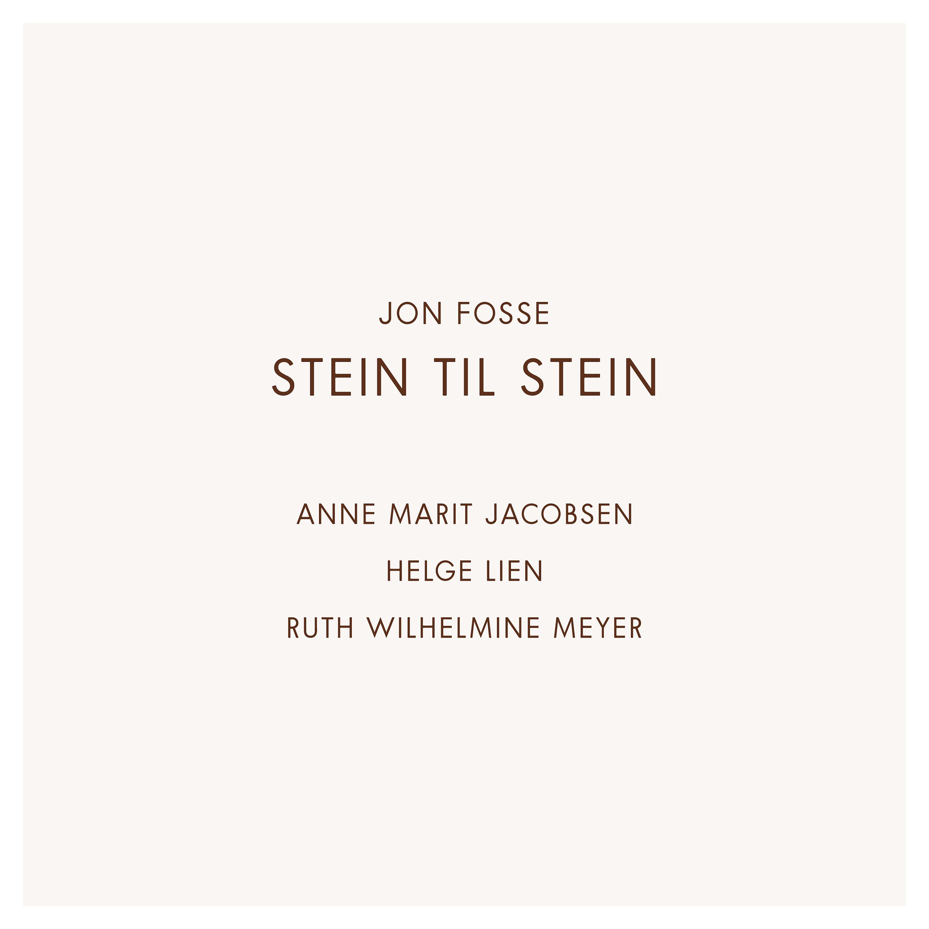 Постер альбома Stein til stein