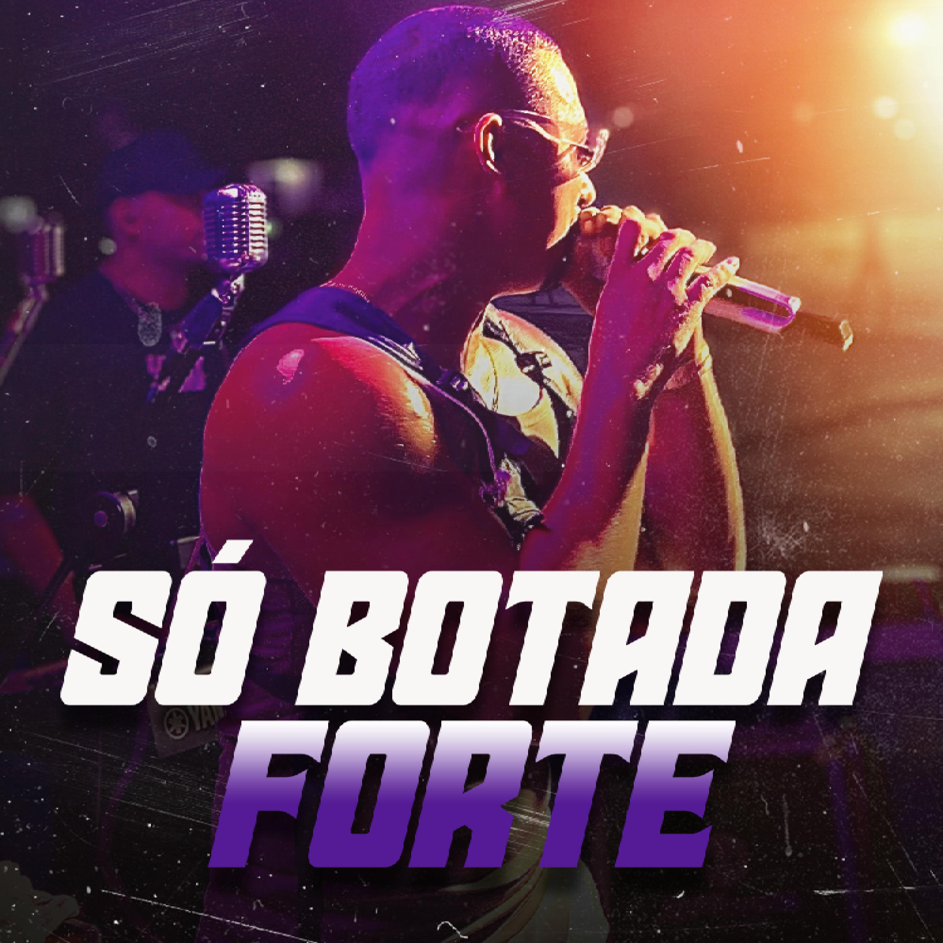 Постер альбома Só Botada Forte