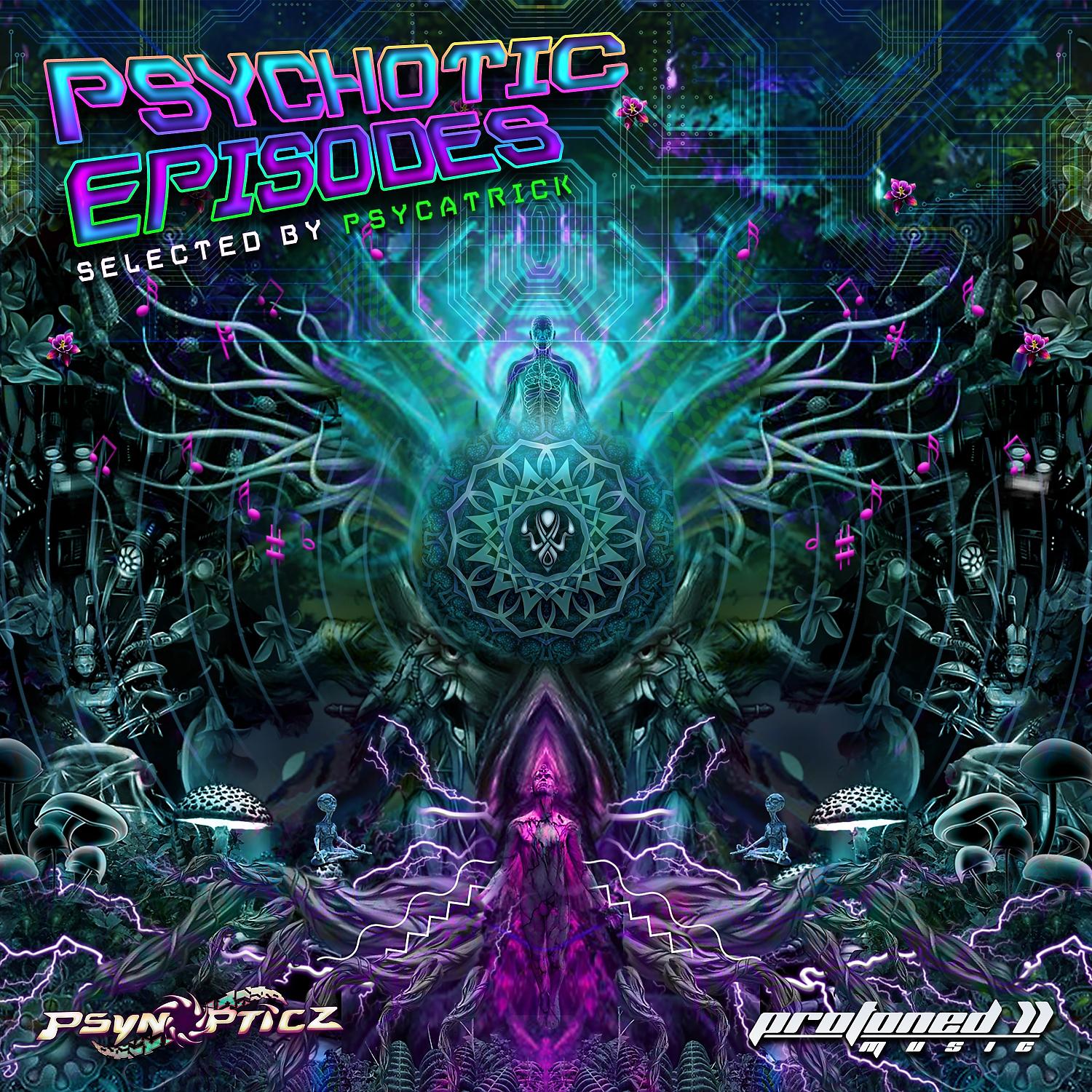 Постер альбома Psychotic Episodes (Selected by Psycatrick)