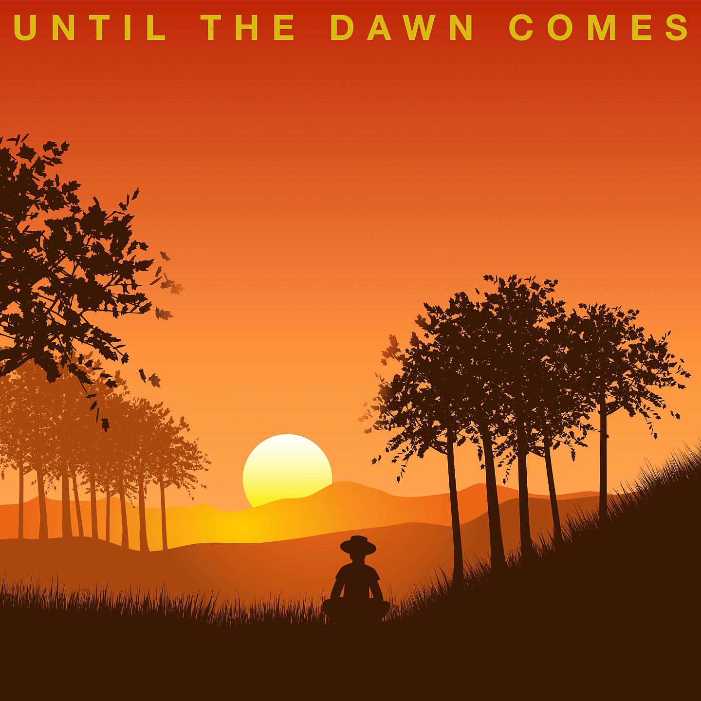 Постер альбома Until the Dawn Comes