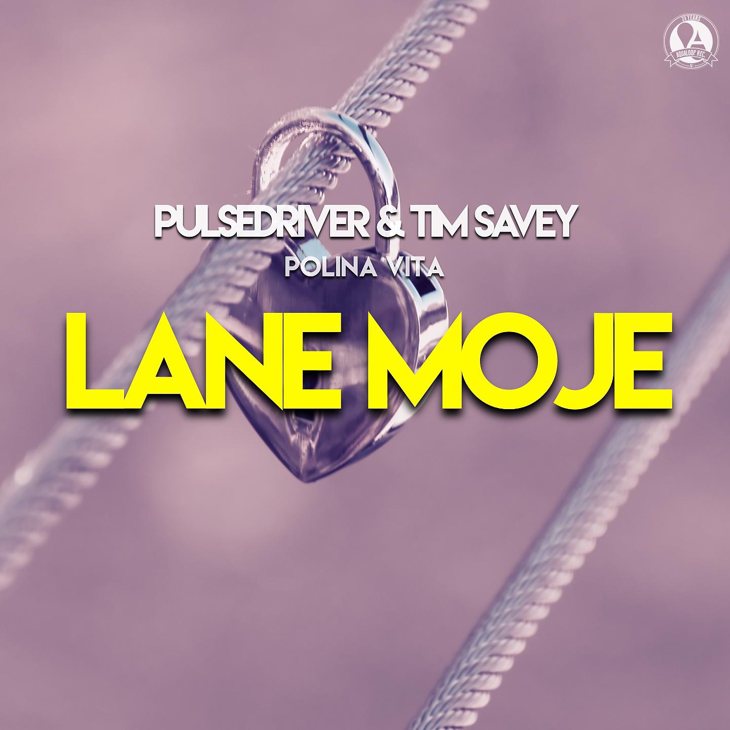 Постер альбома Lane Moje