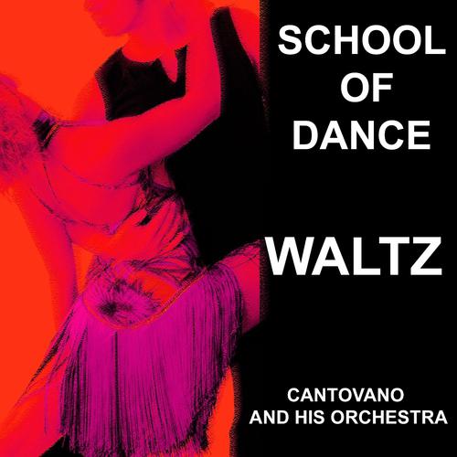 Постер альбома I Love Waltz