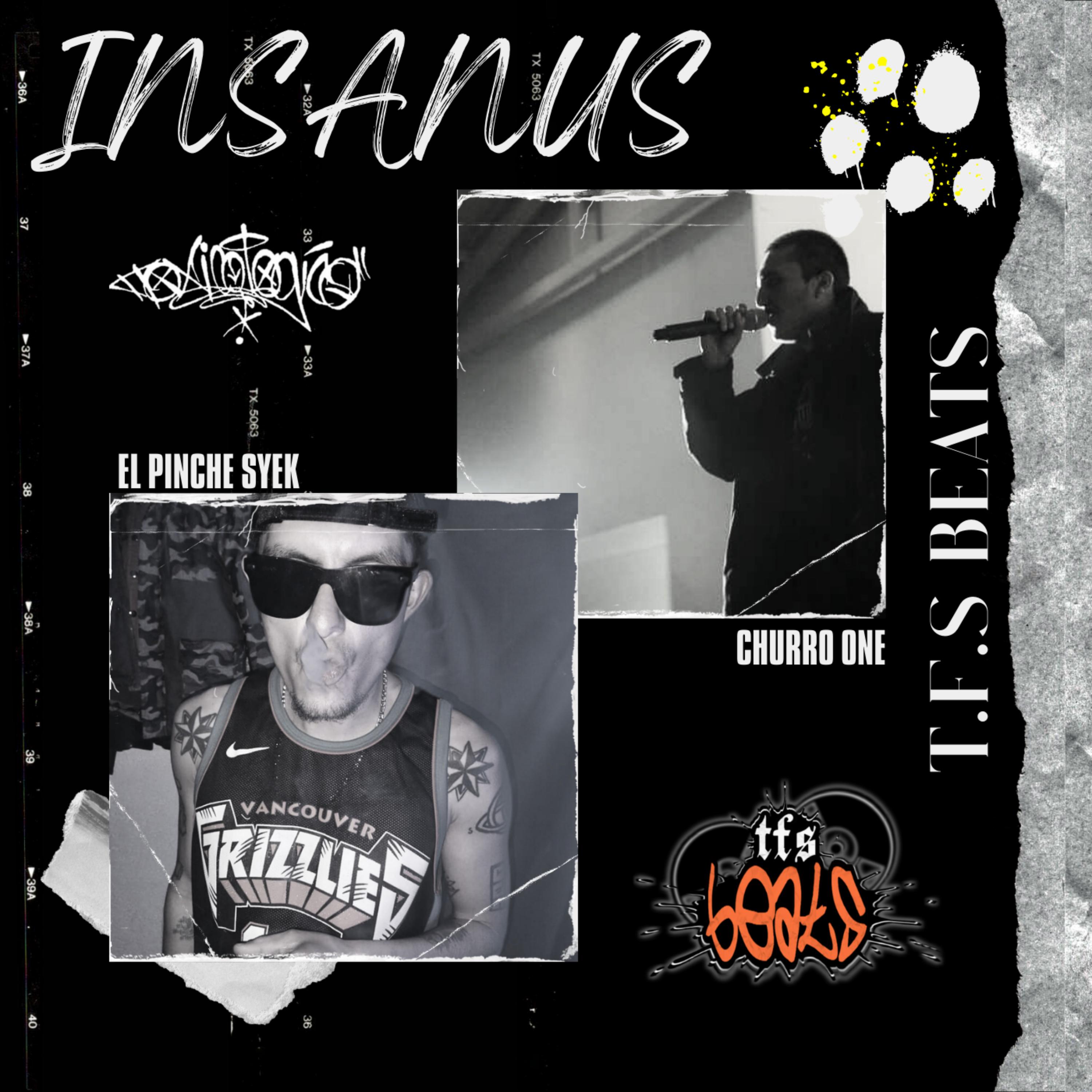Постер альбома Insanus