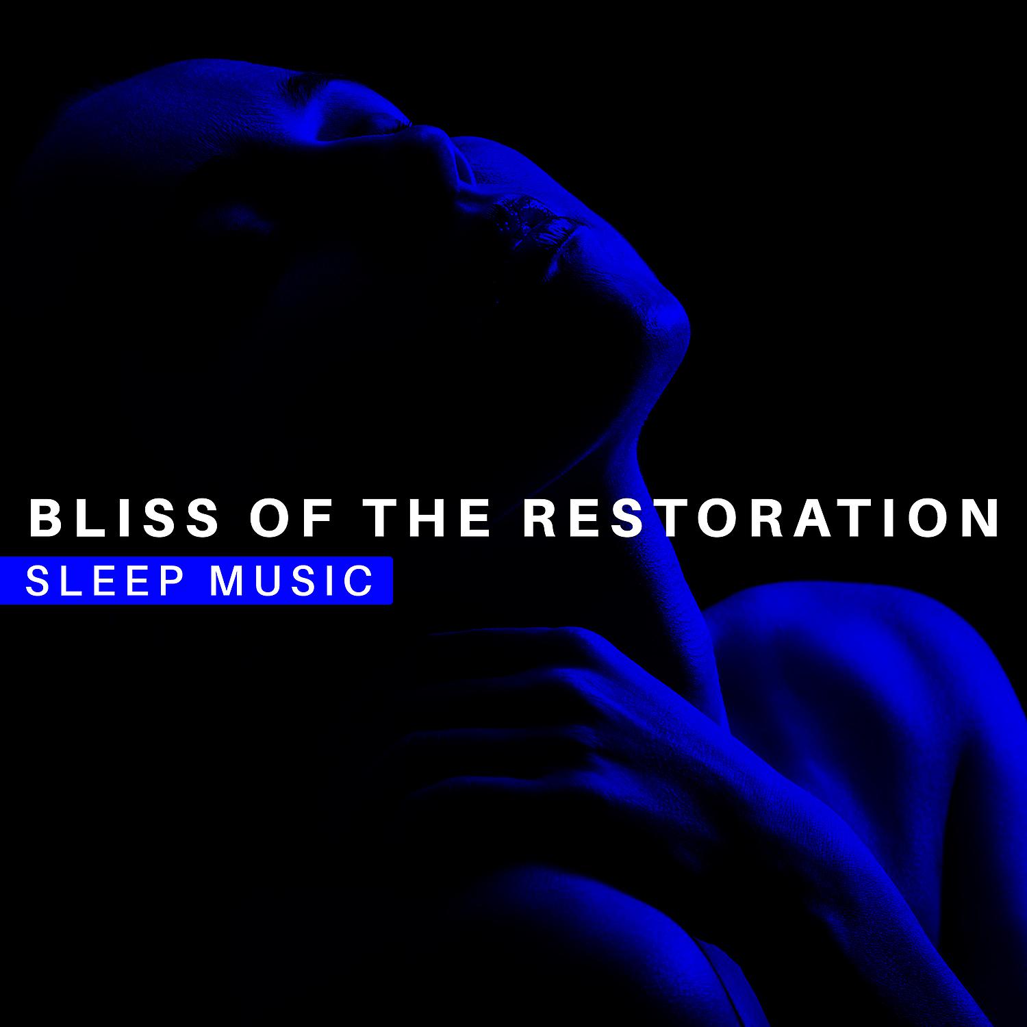 Постер альбома Bliss of the Restoration: Sleep Music