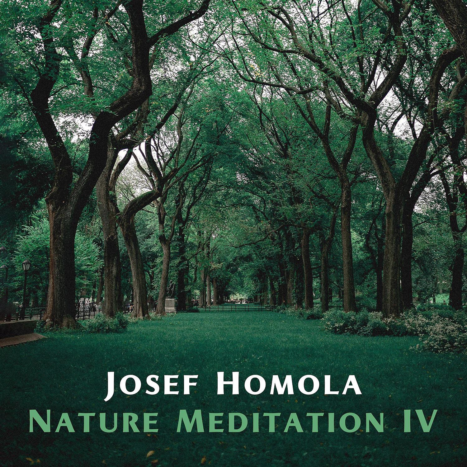Постер альбома Nature Meditation IV