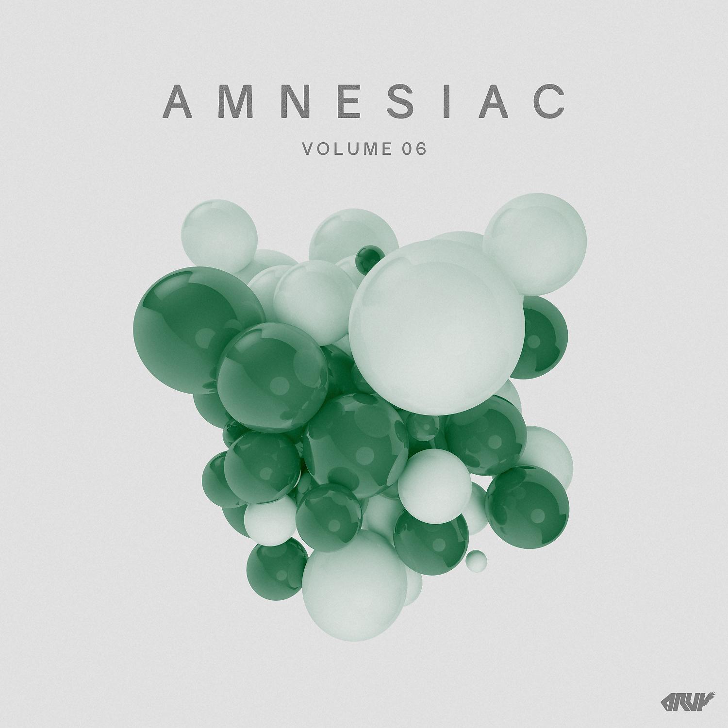Постер альбома Amnesiac, Vol.06