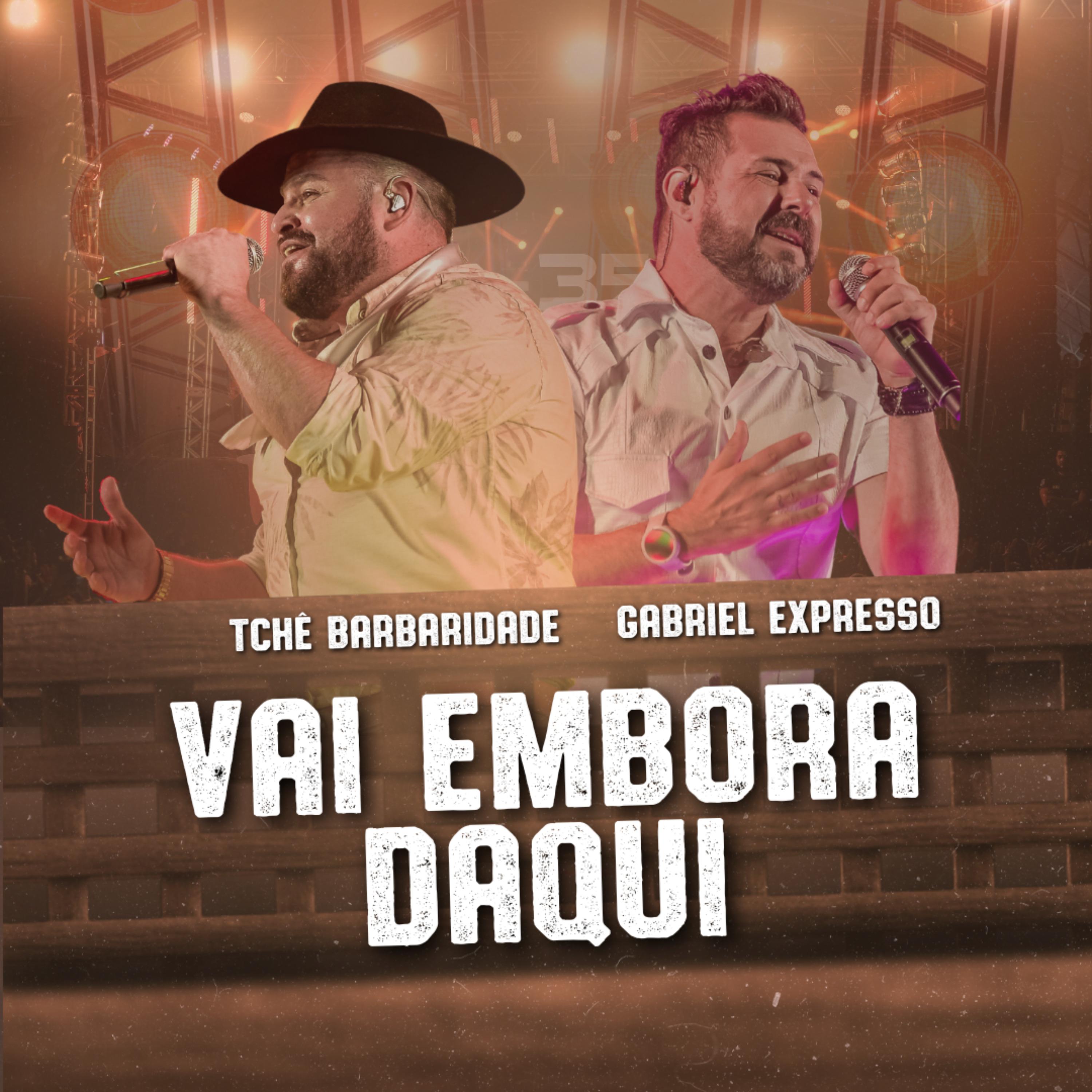 Постер альбома Vai Embora Daqui
