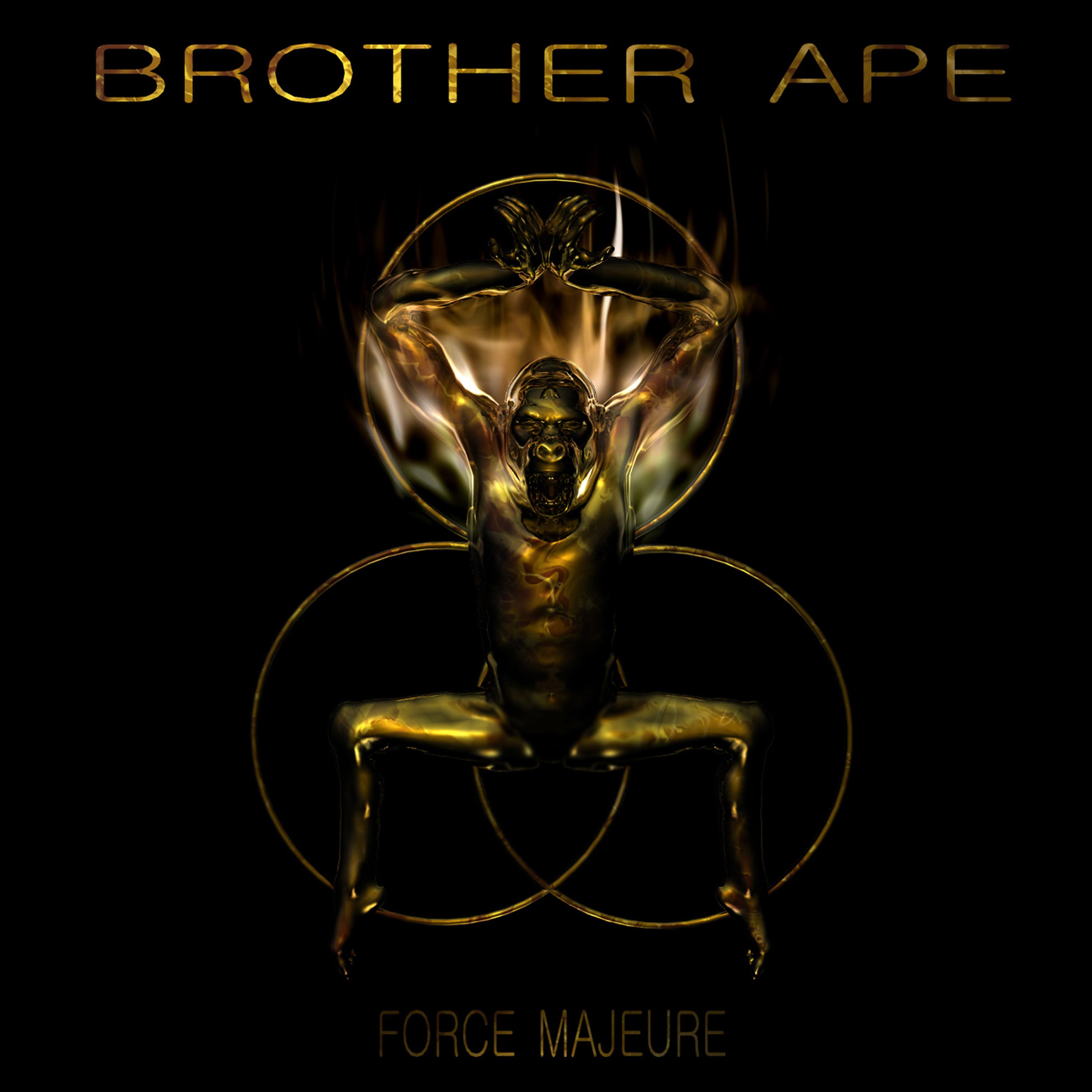 Постер альбома Force Majeure