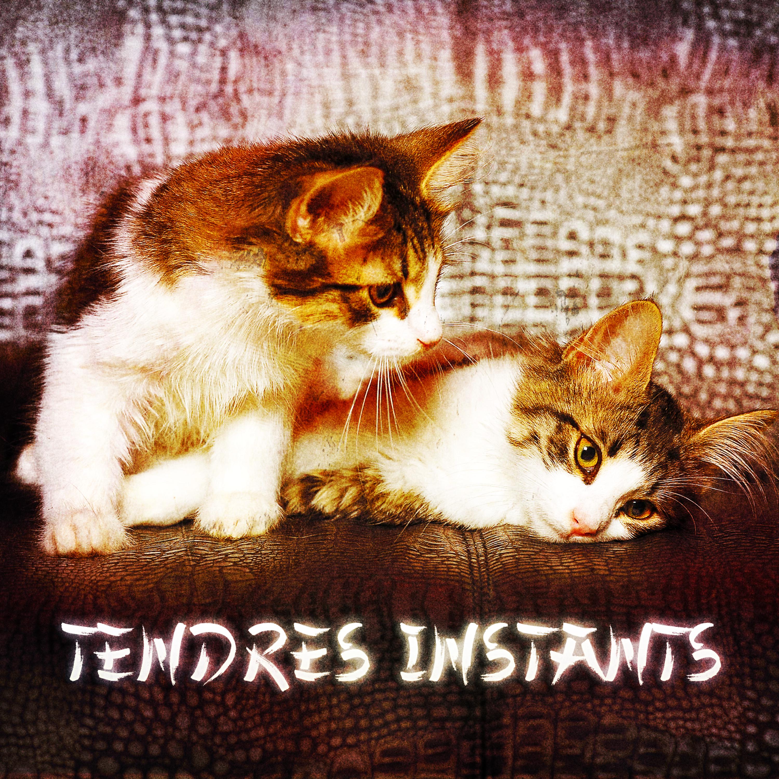 Постер альбома Zen & Relaxation: Tendres instants