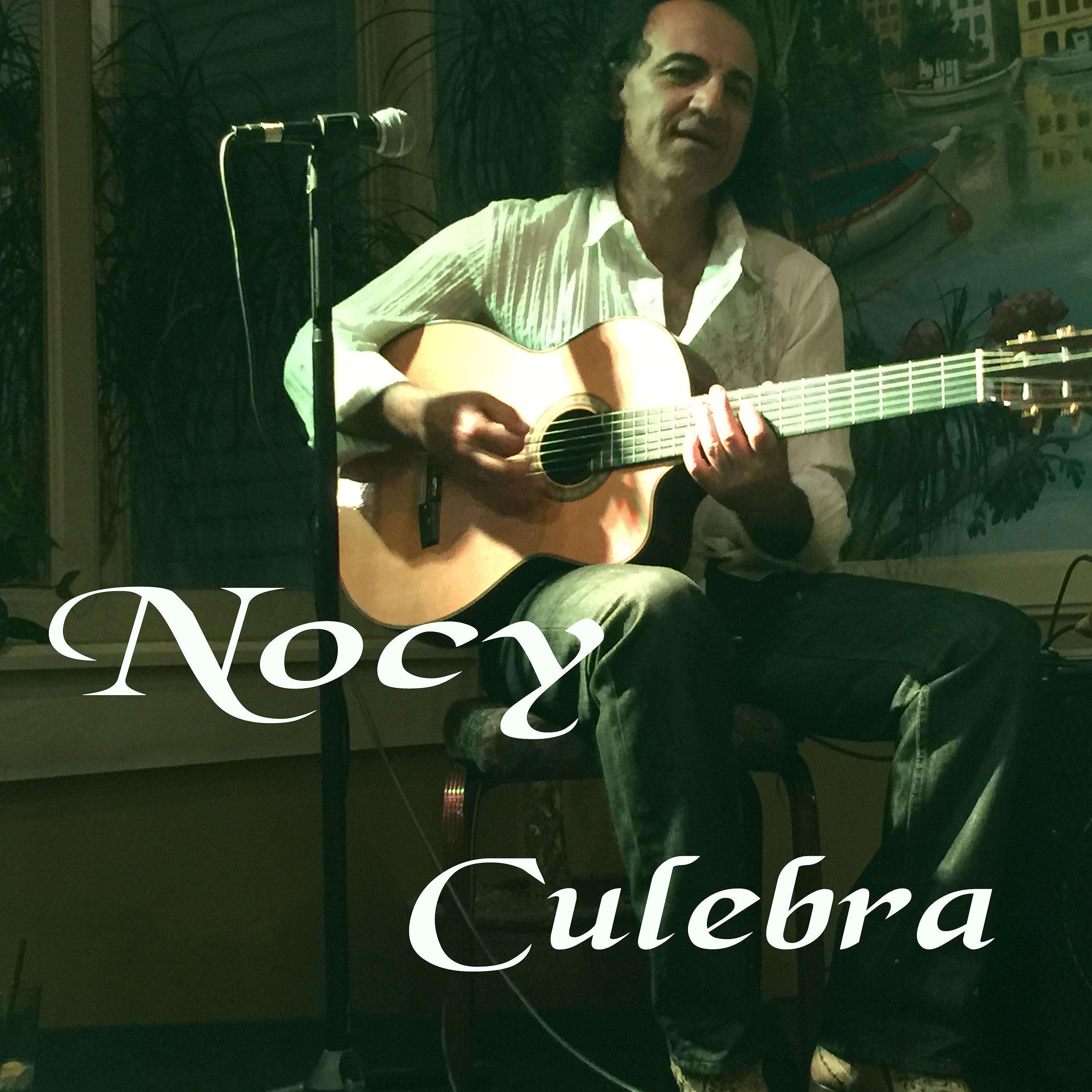 Постер альбома Culebra