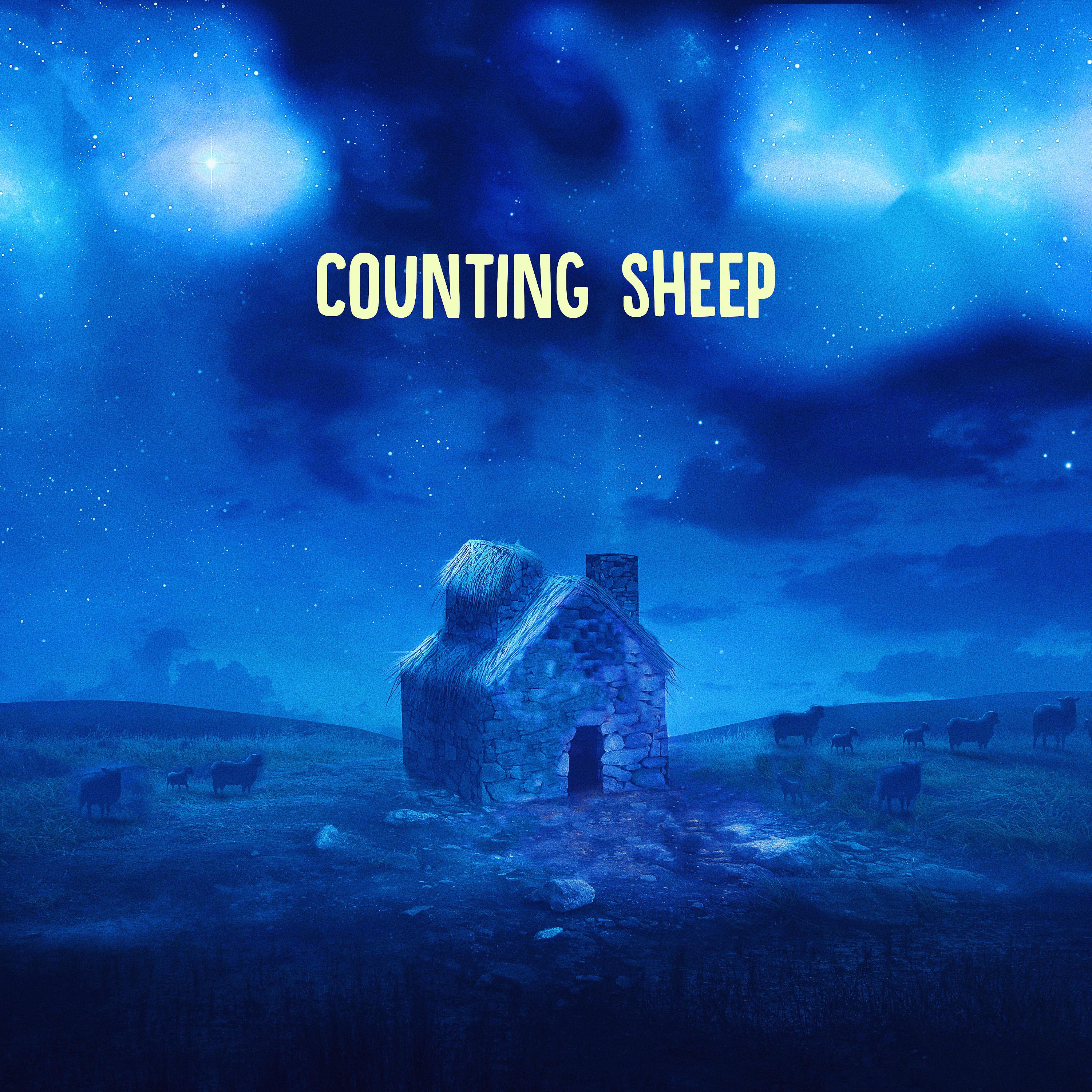 Постер альбома Counting Sheep