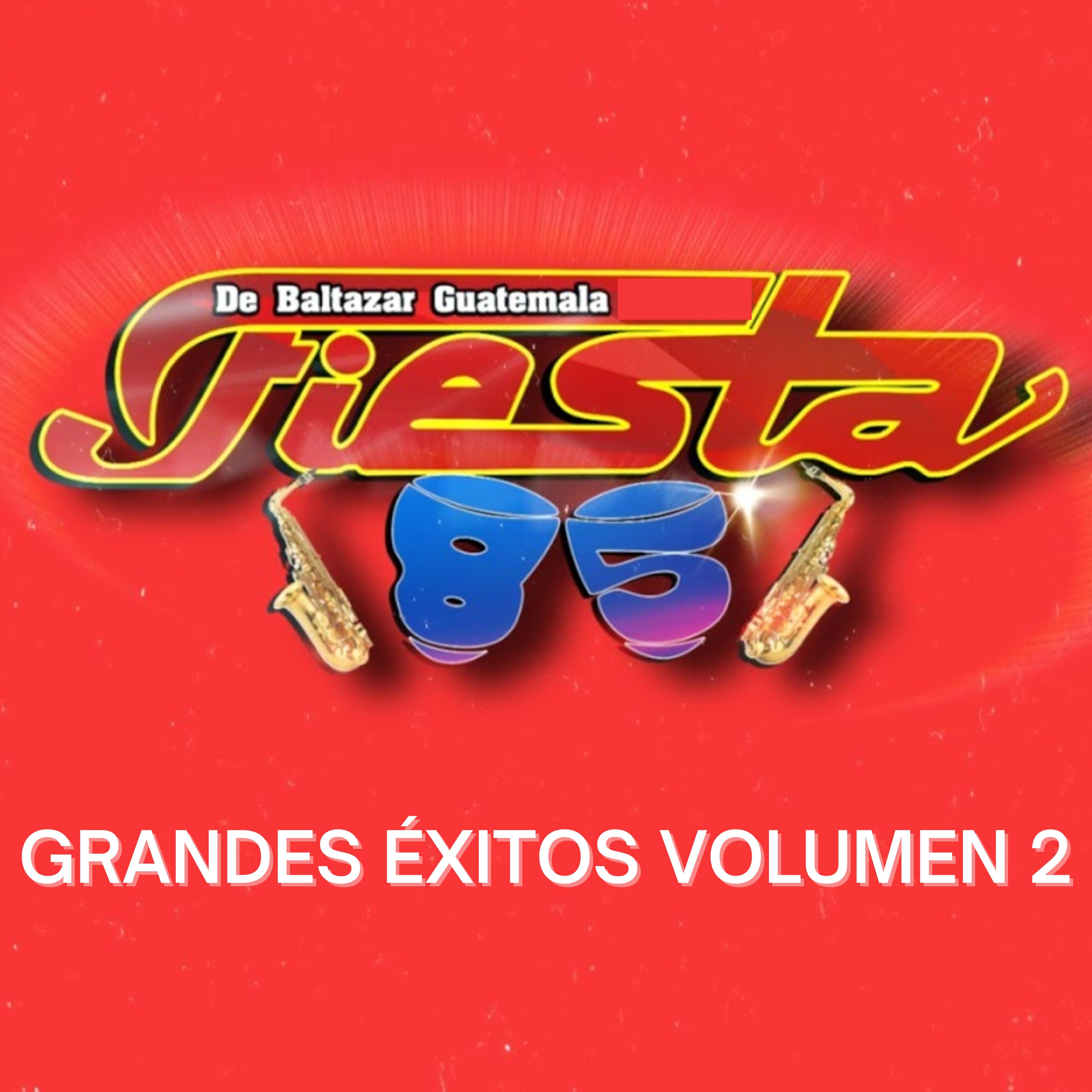 Постер альбома Grandes Éxitos Volumen 2