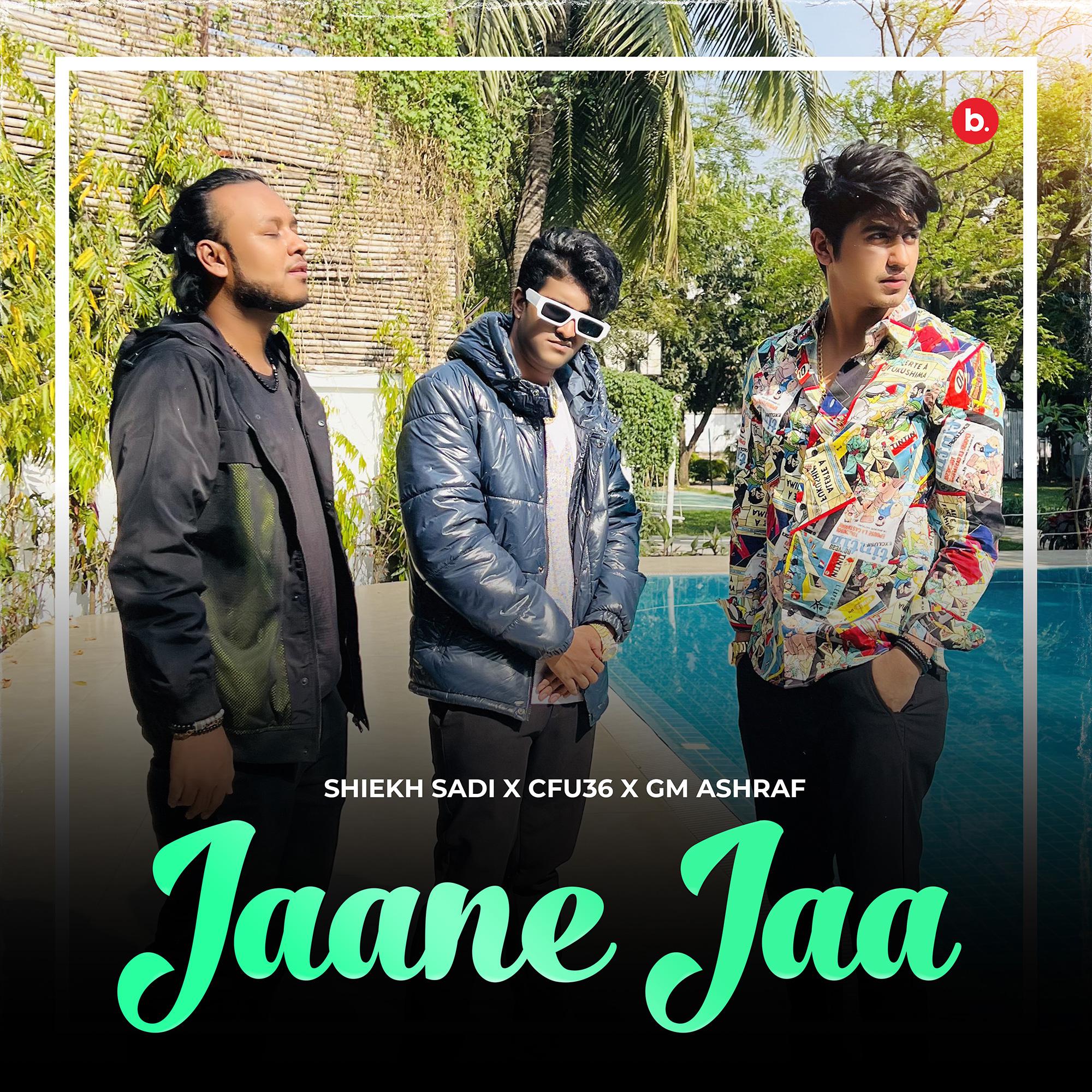 Постер альбома Jaane Jaa