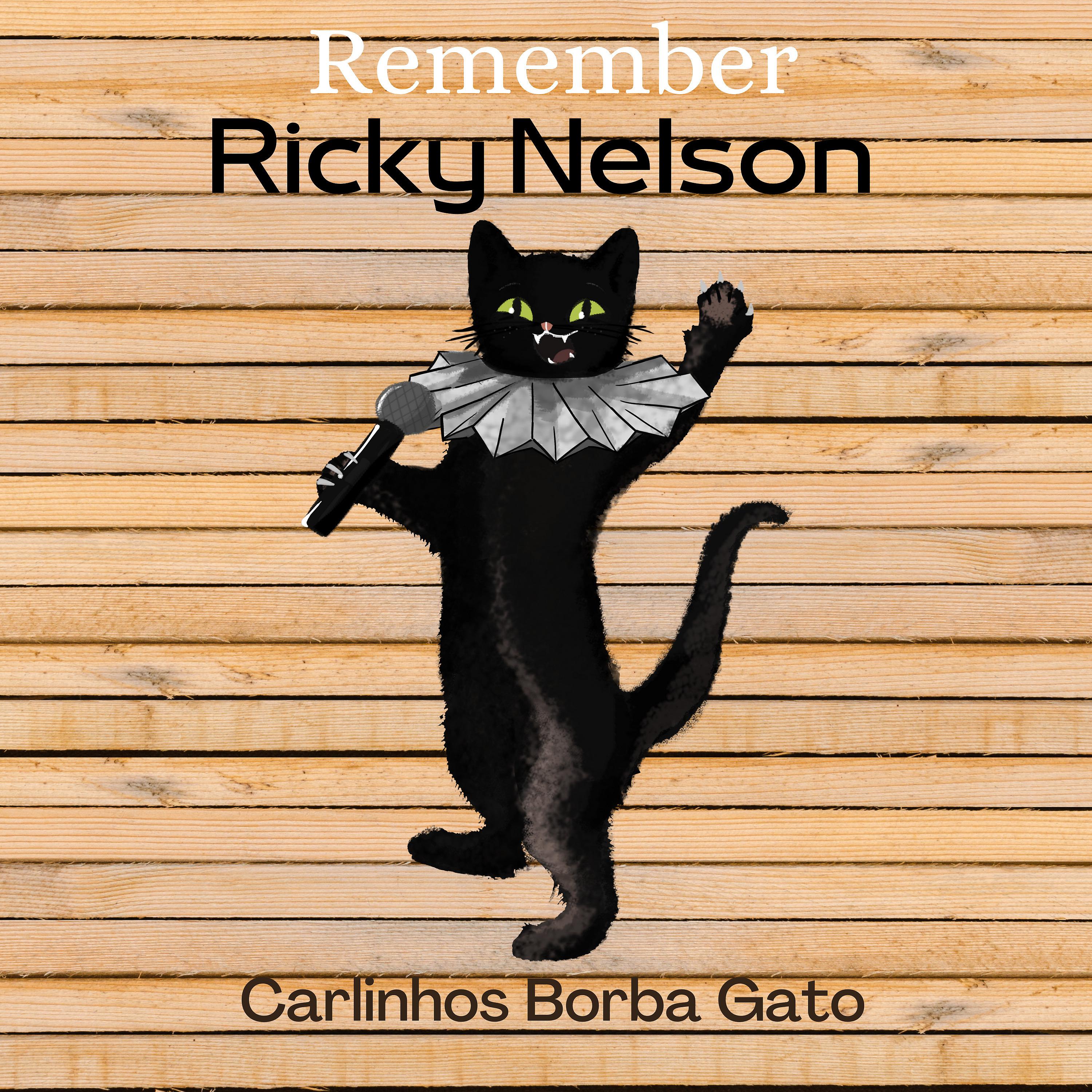 Постер альбома Remember Ricky Nelson