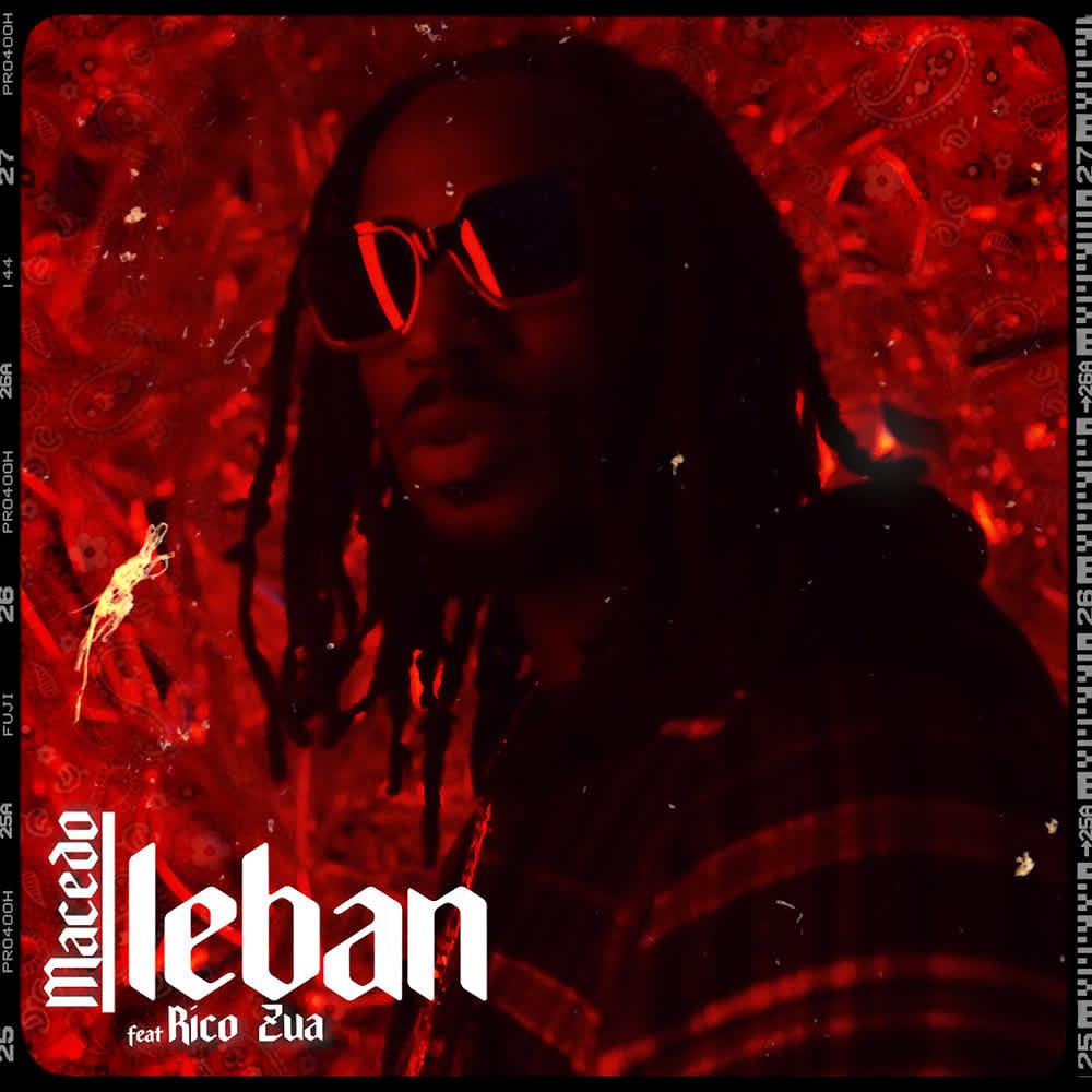 Постер альбома Leban