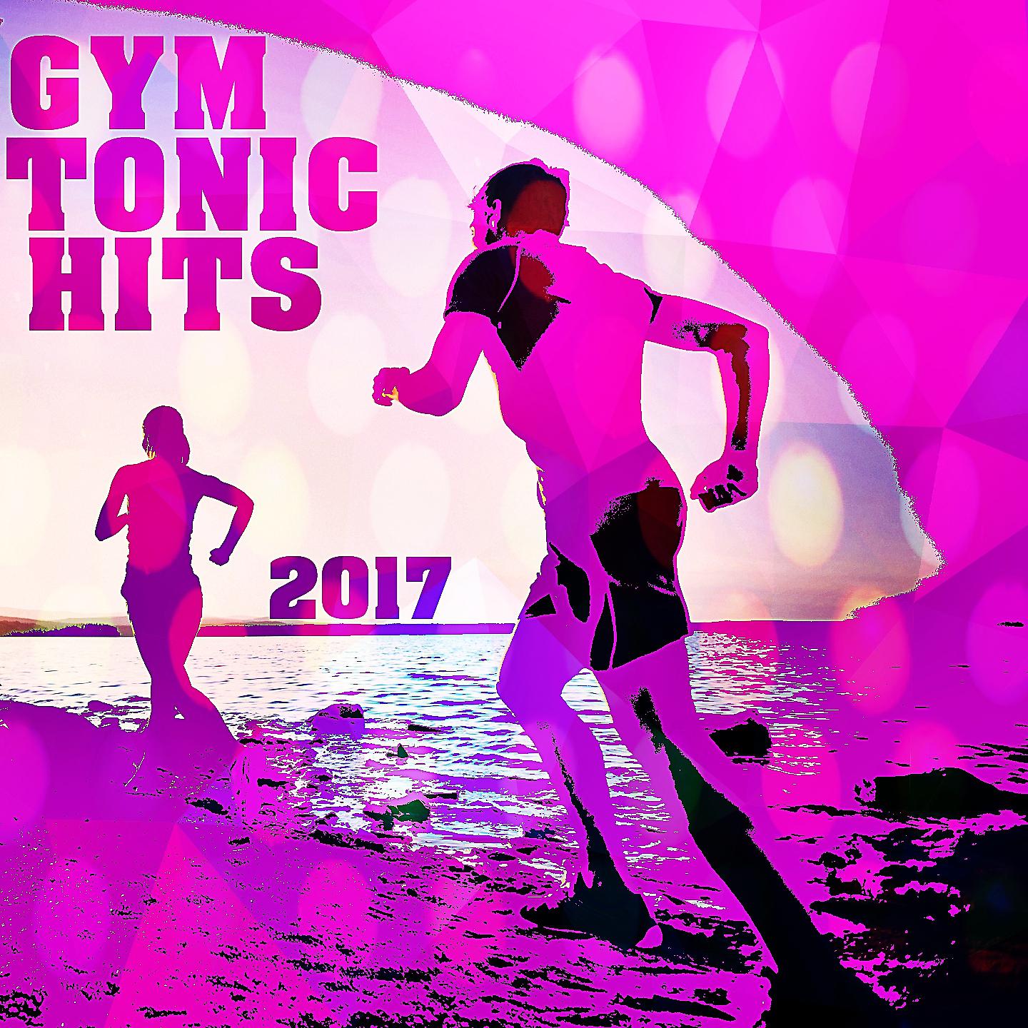 Постер альбома Gym Tonic Hits 2017