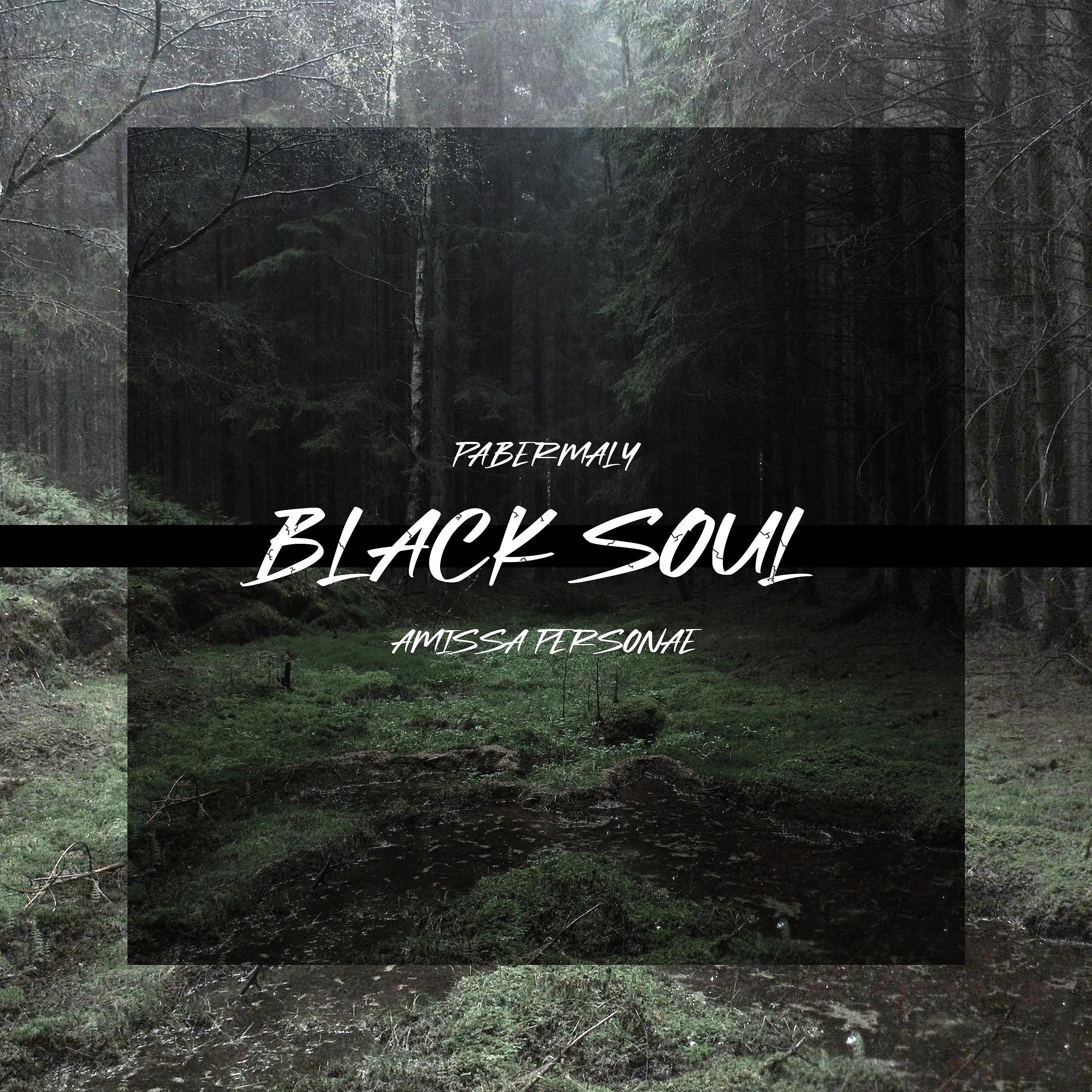 Постер альбома Black Soul