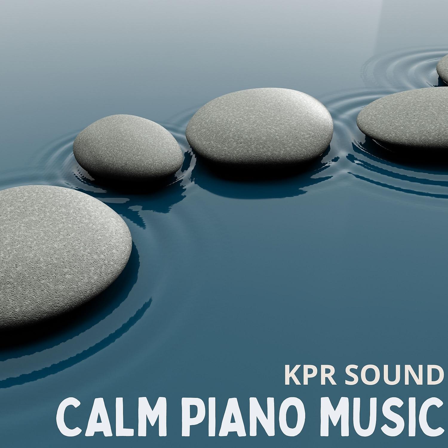 Постер альбома Calm Piano Music