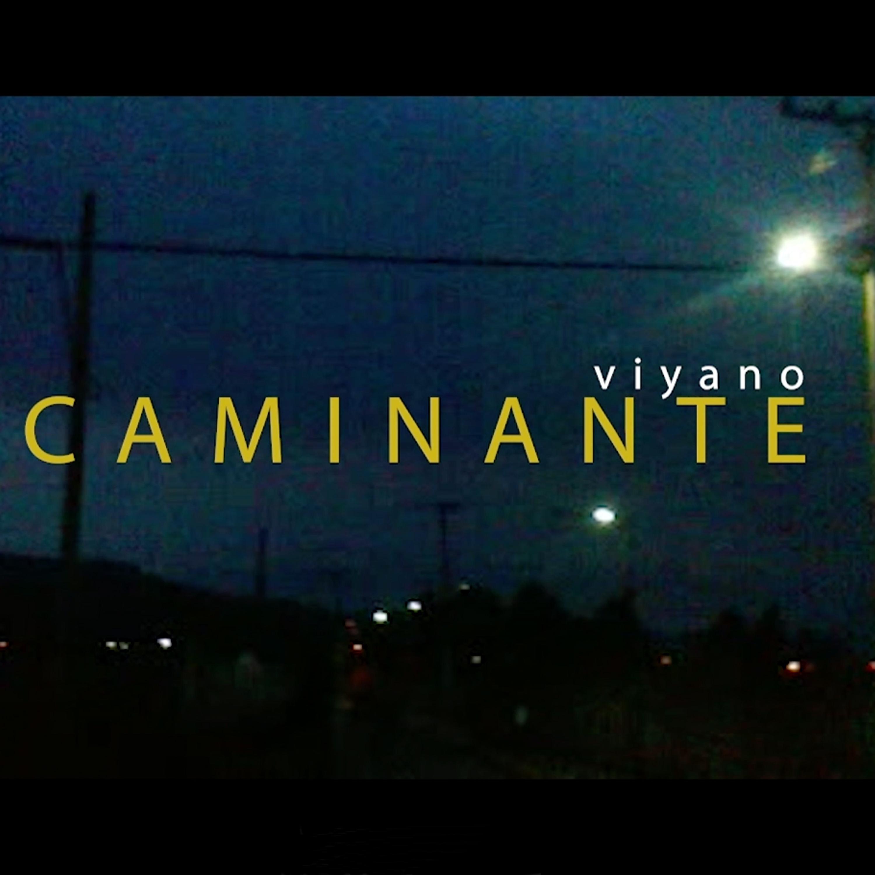 Постер альбома Caminante