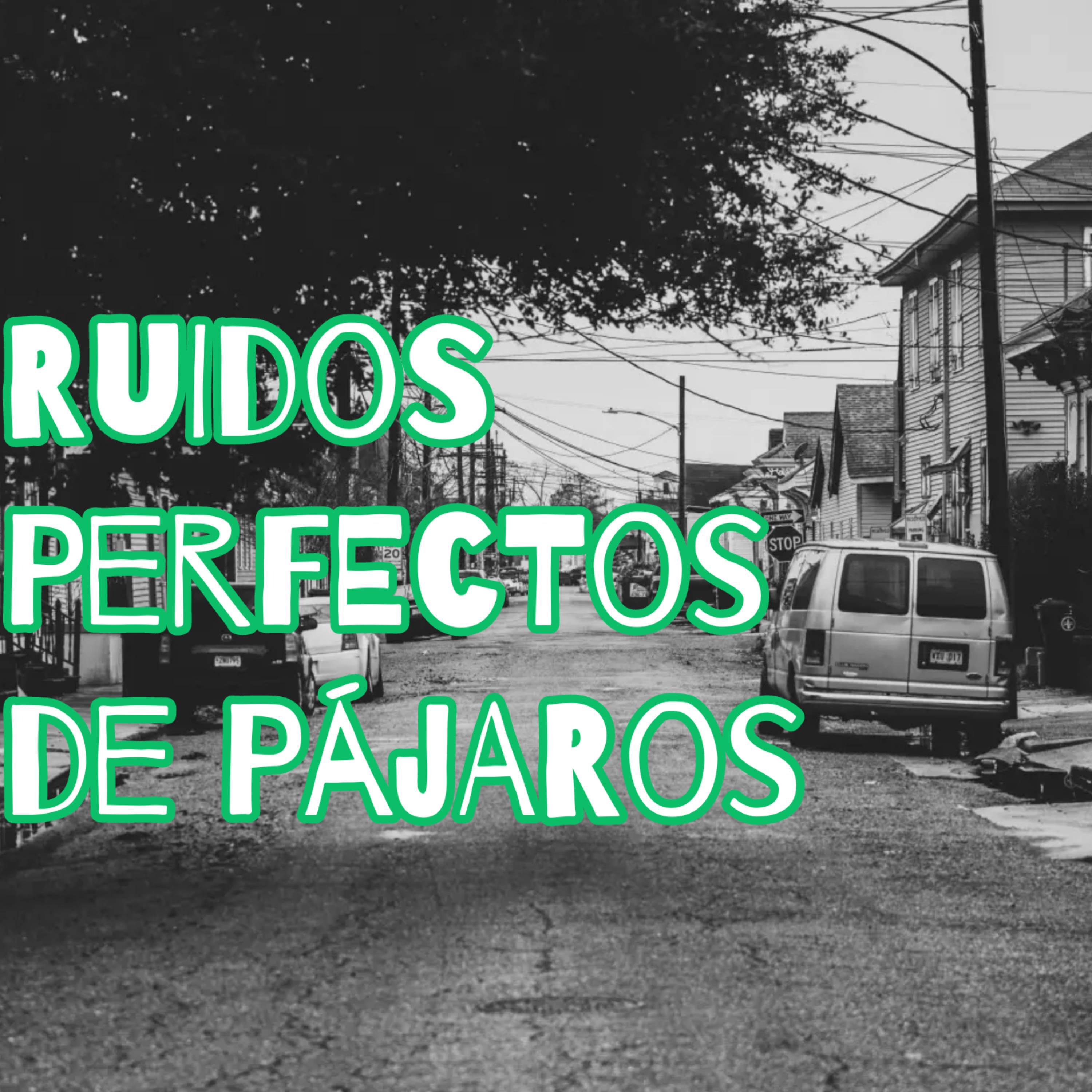Постер альбома Ruidos Perfectos de Pájaros