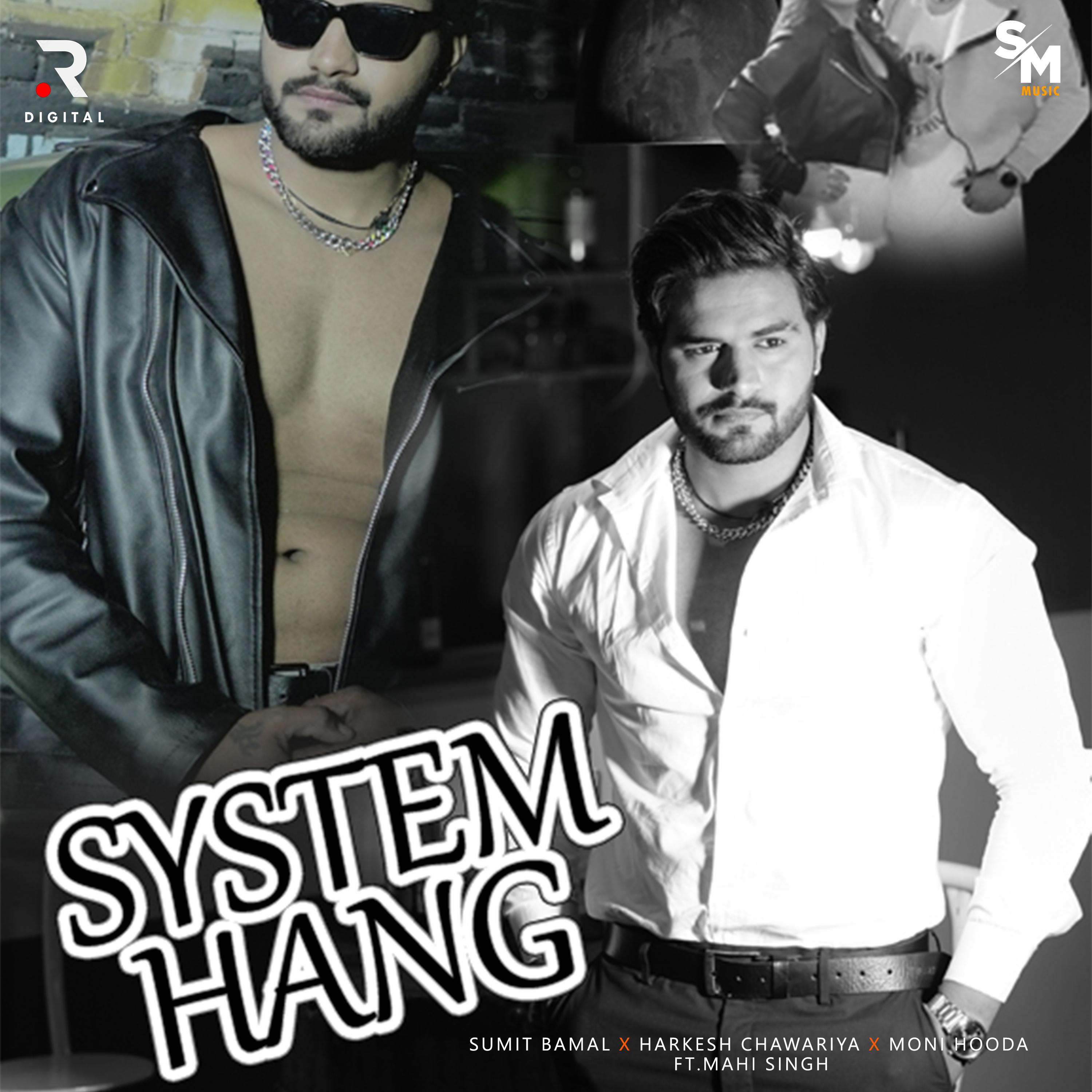 Постер альбома System Hang