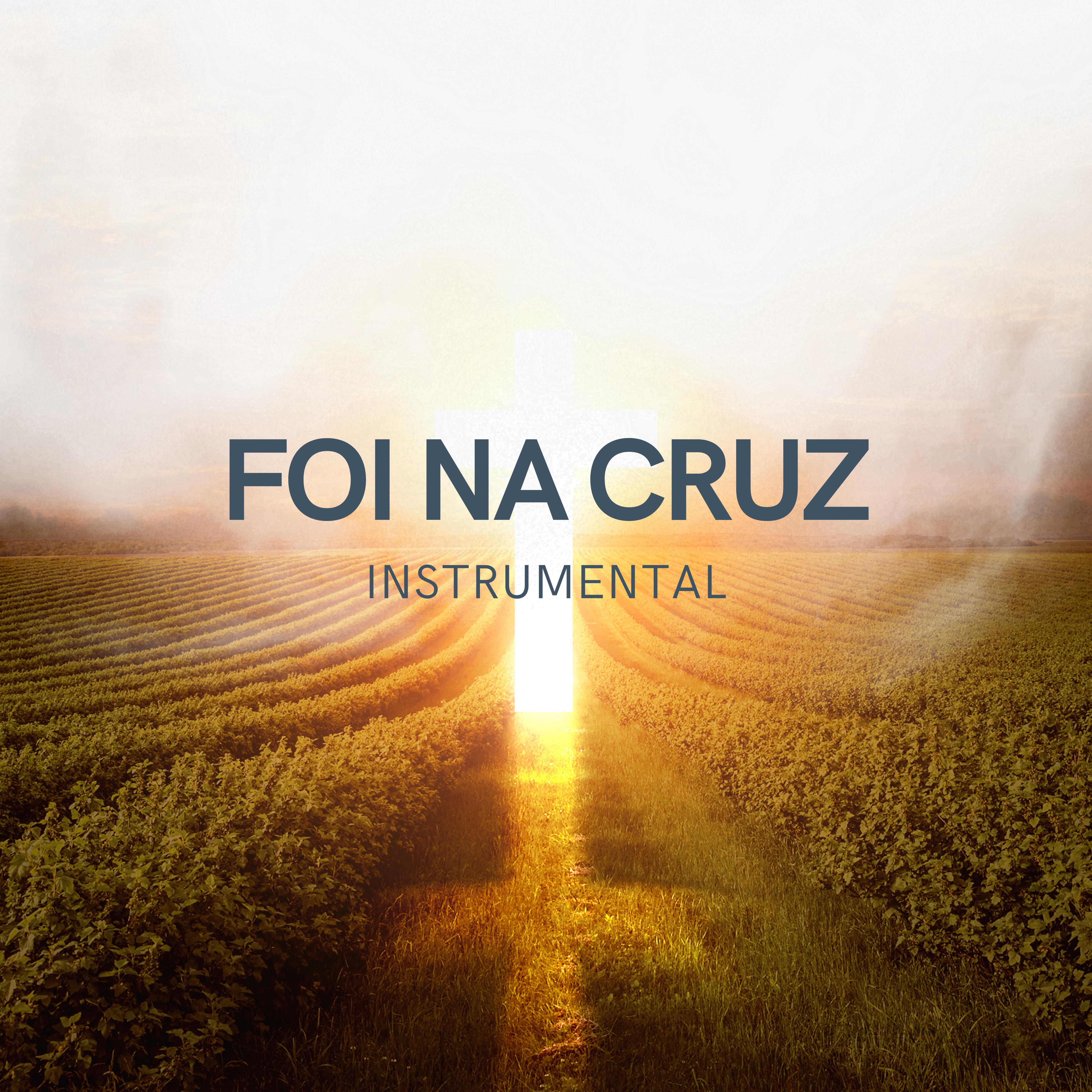 Постер альбома Foi na Cruz