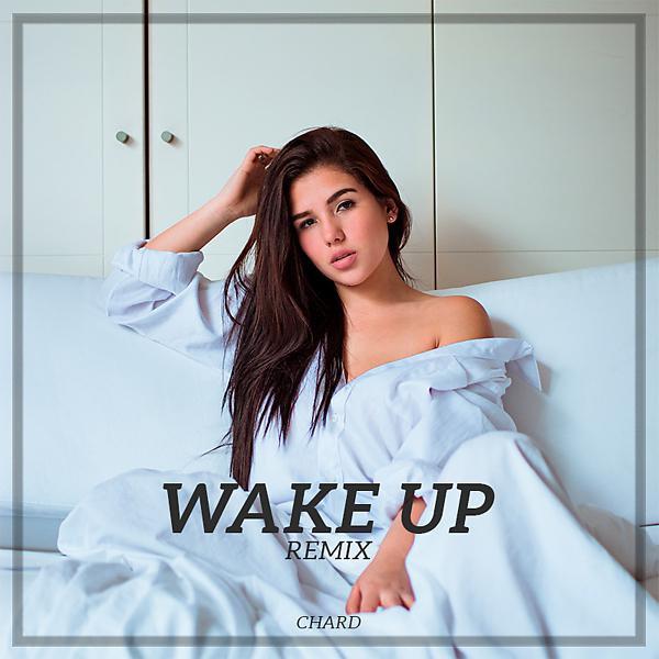 Постер альбома Wake Up (Remix)