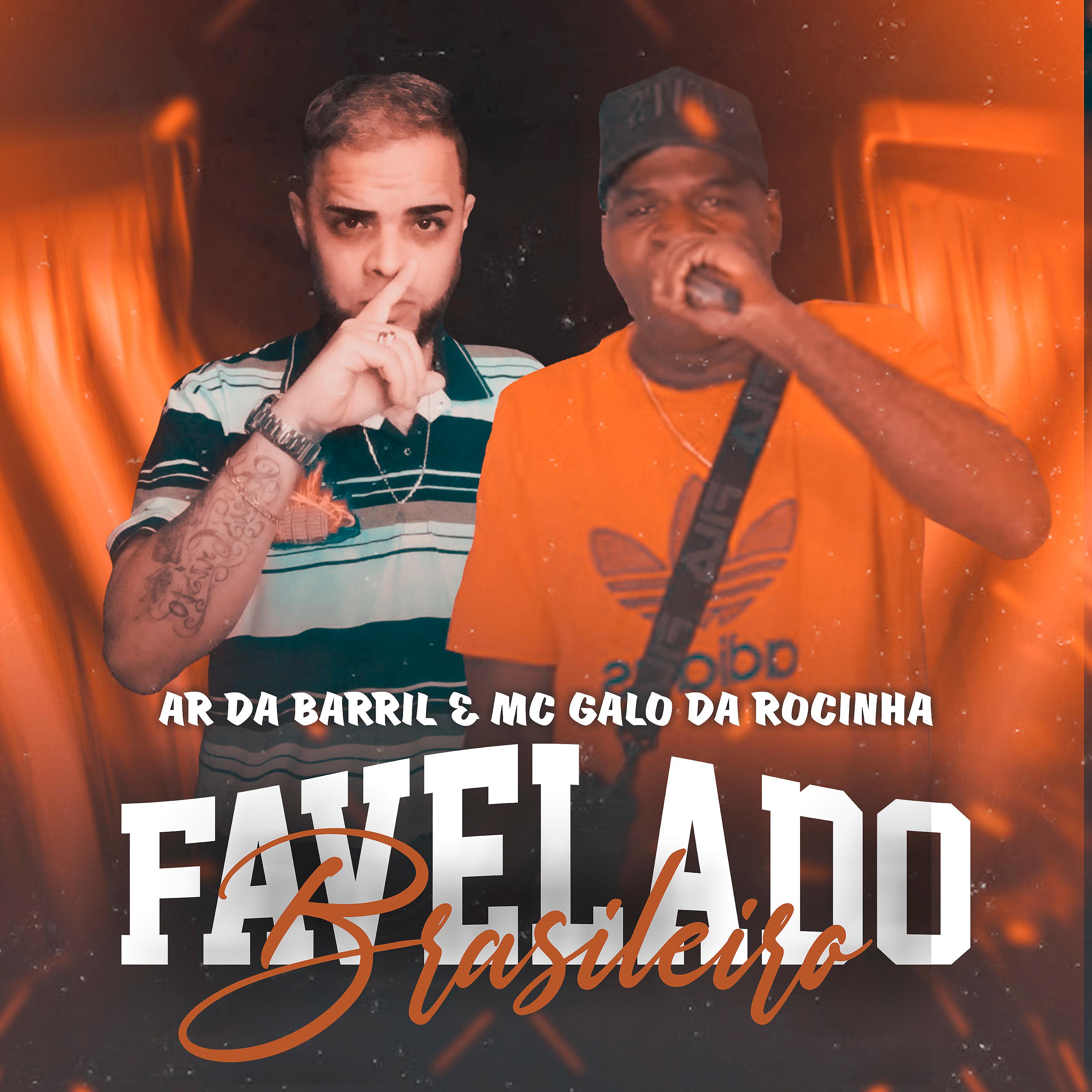 Постер альбома Favelado Brasileiro
