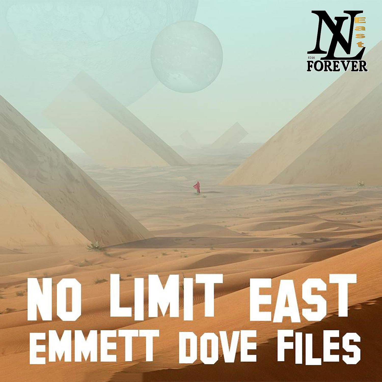 Постер альбома Emmett Dove Files