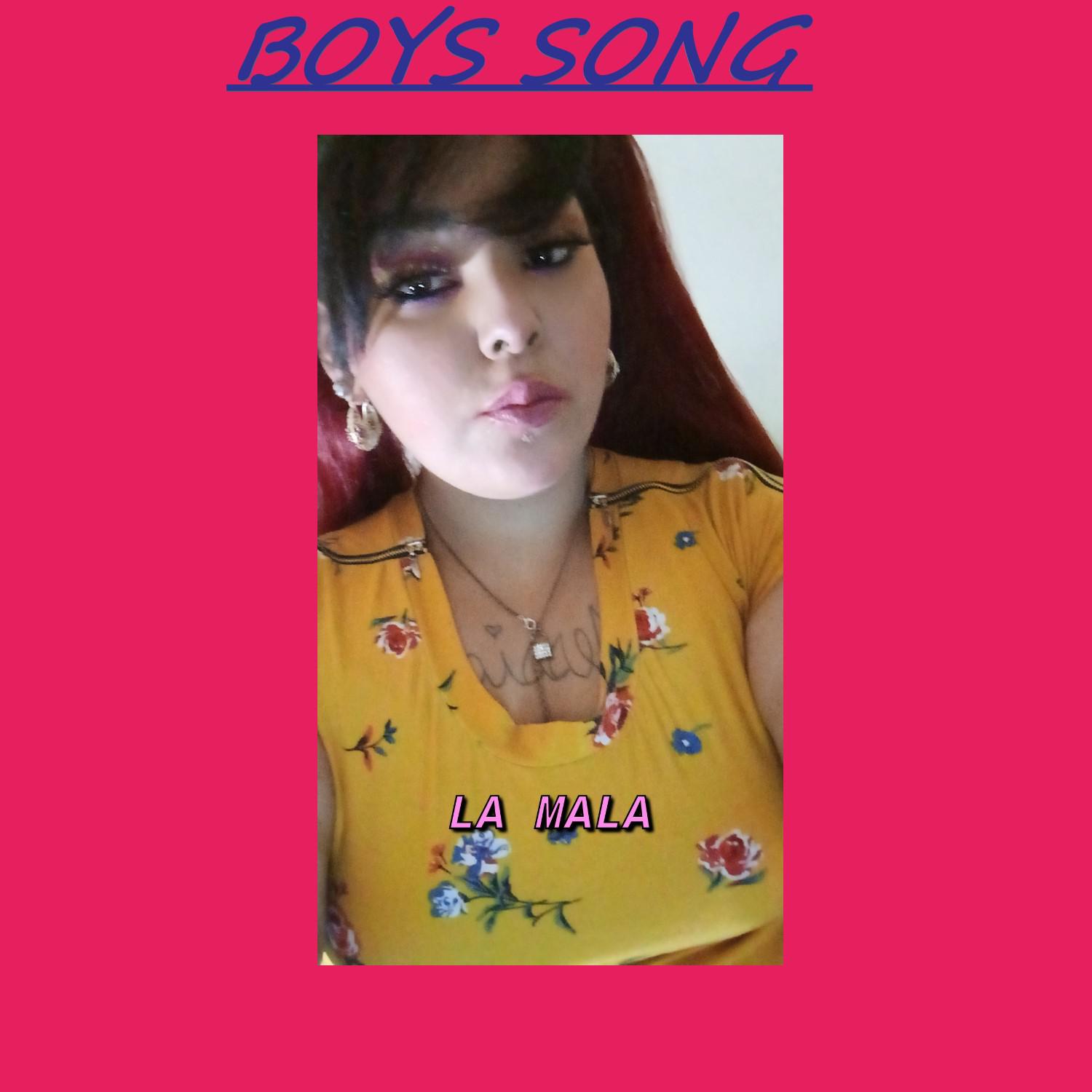 Постер альбома Boys Song