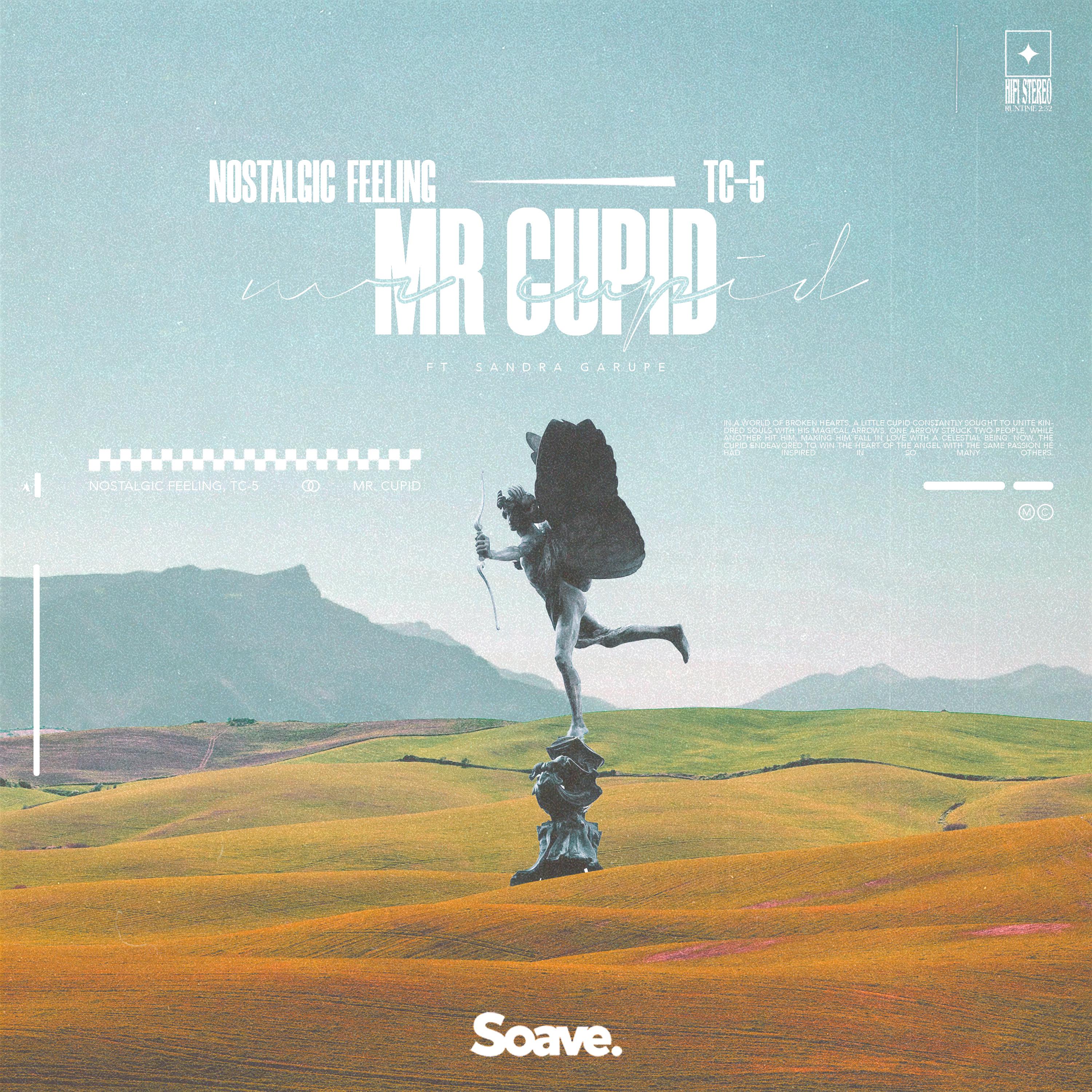 Постер альбома Mr. Cupid