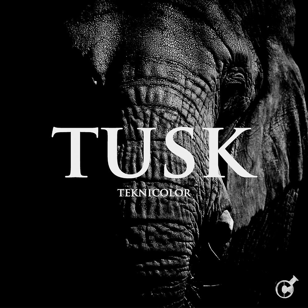 Постер альбома Tusk