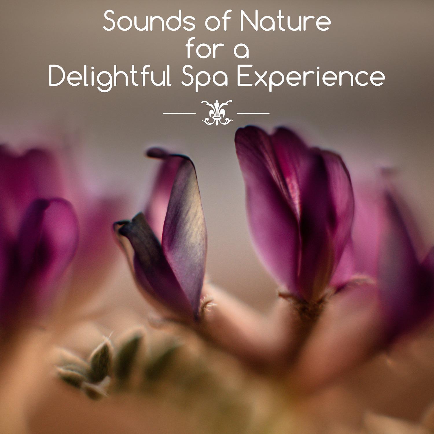 Постер альбома Sounds of Nature for a Delightful Spa Experience