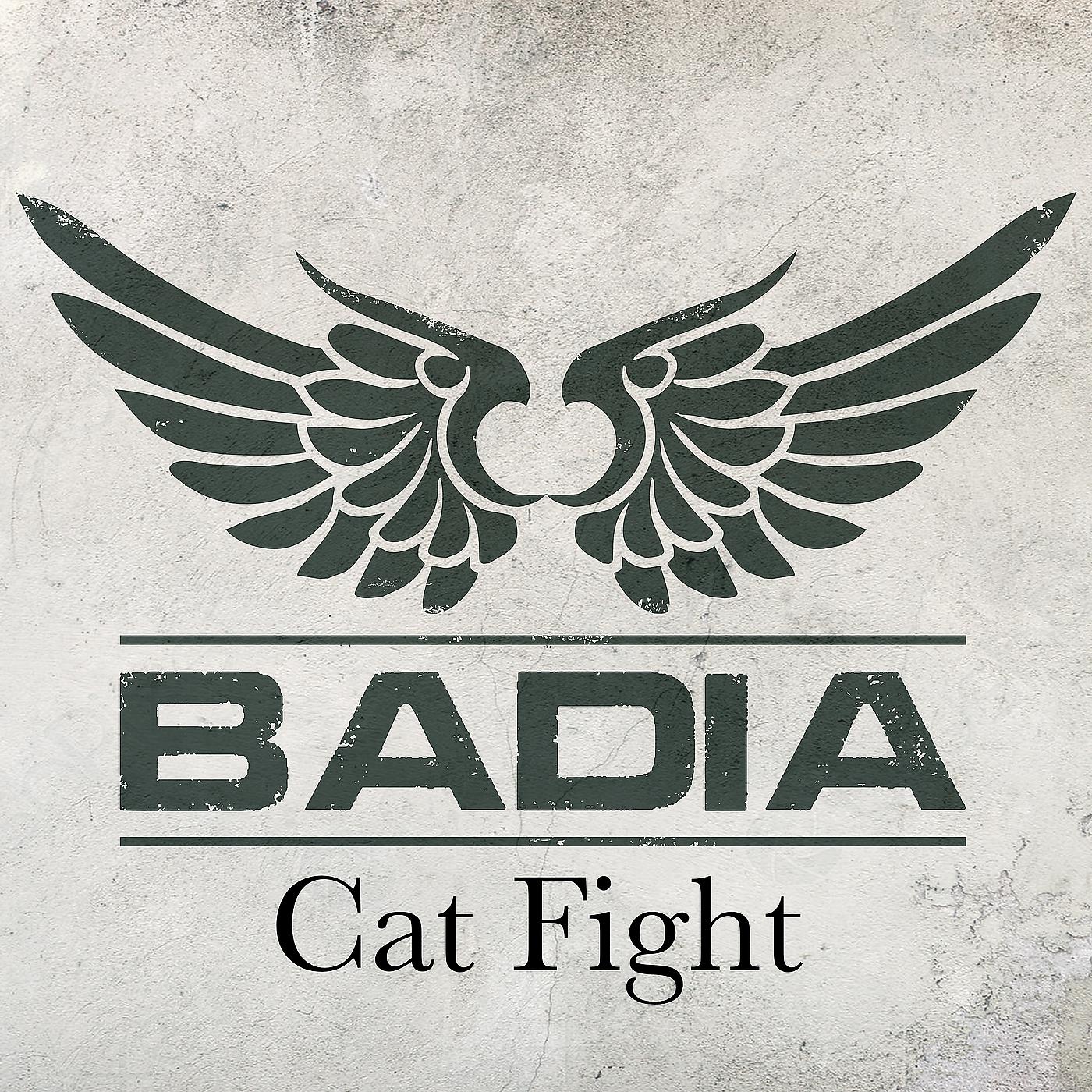 Постер альбома Cat Fight