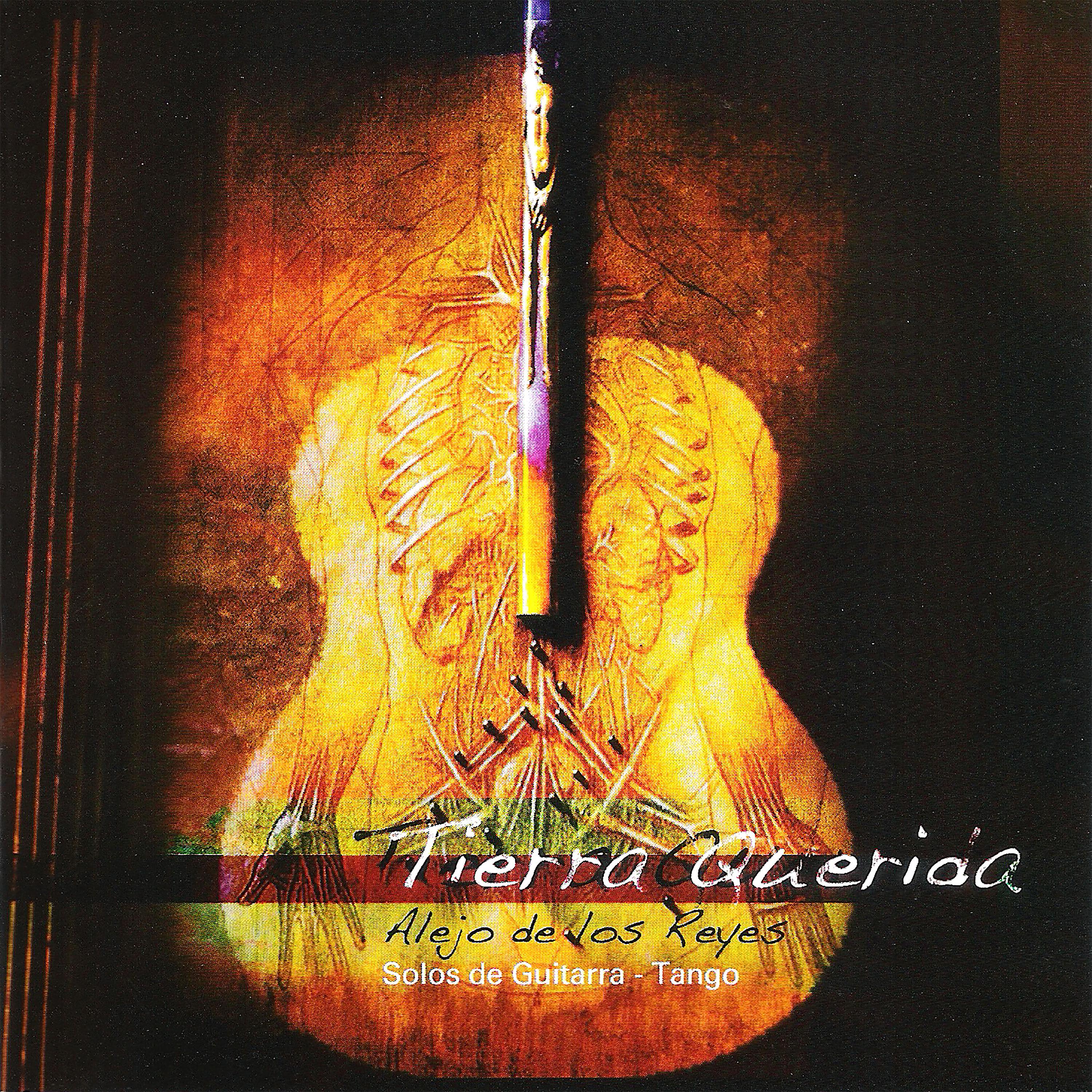 Постер альбома Tierra Querida